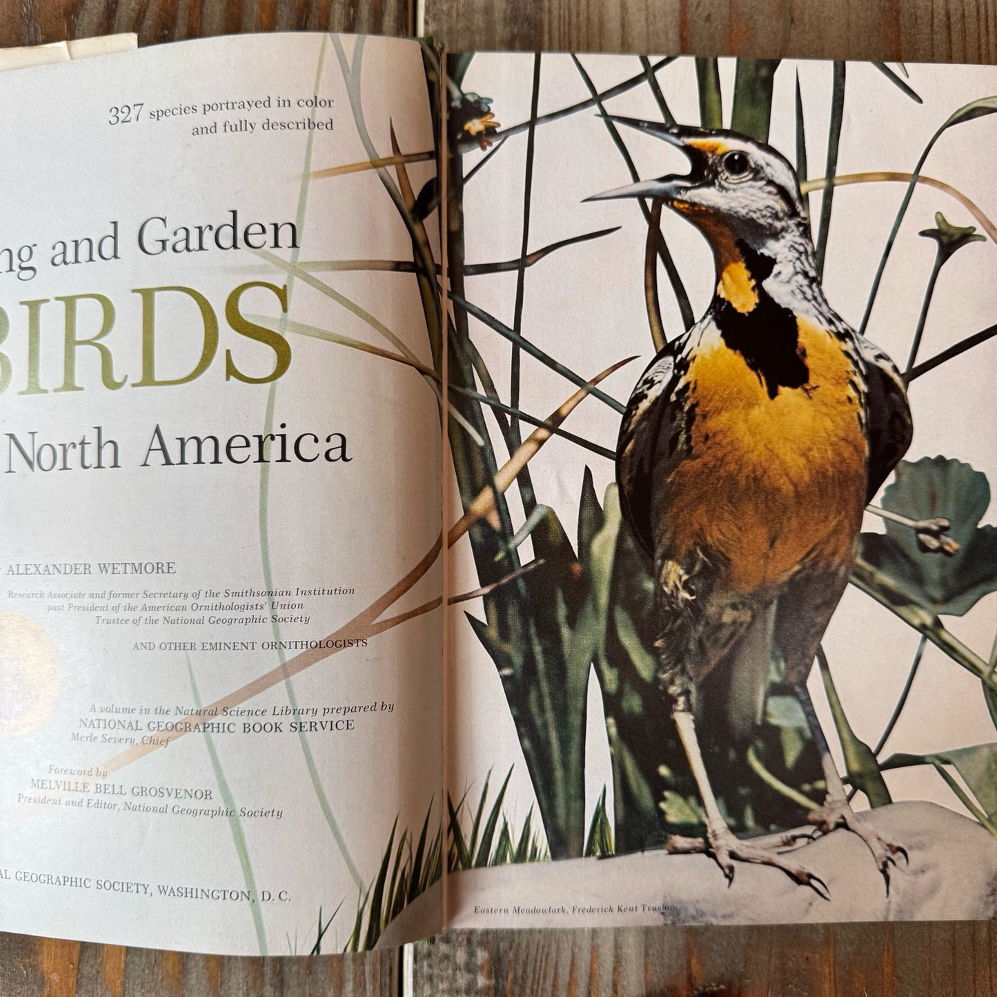 National Geographic Song and Garden Birds of North America, 1964