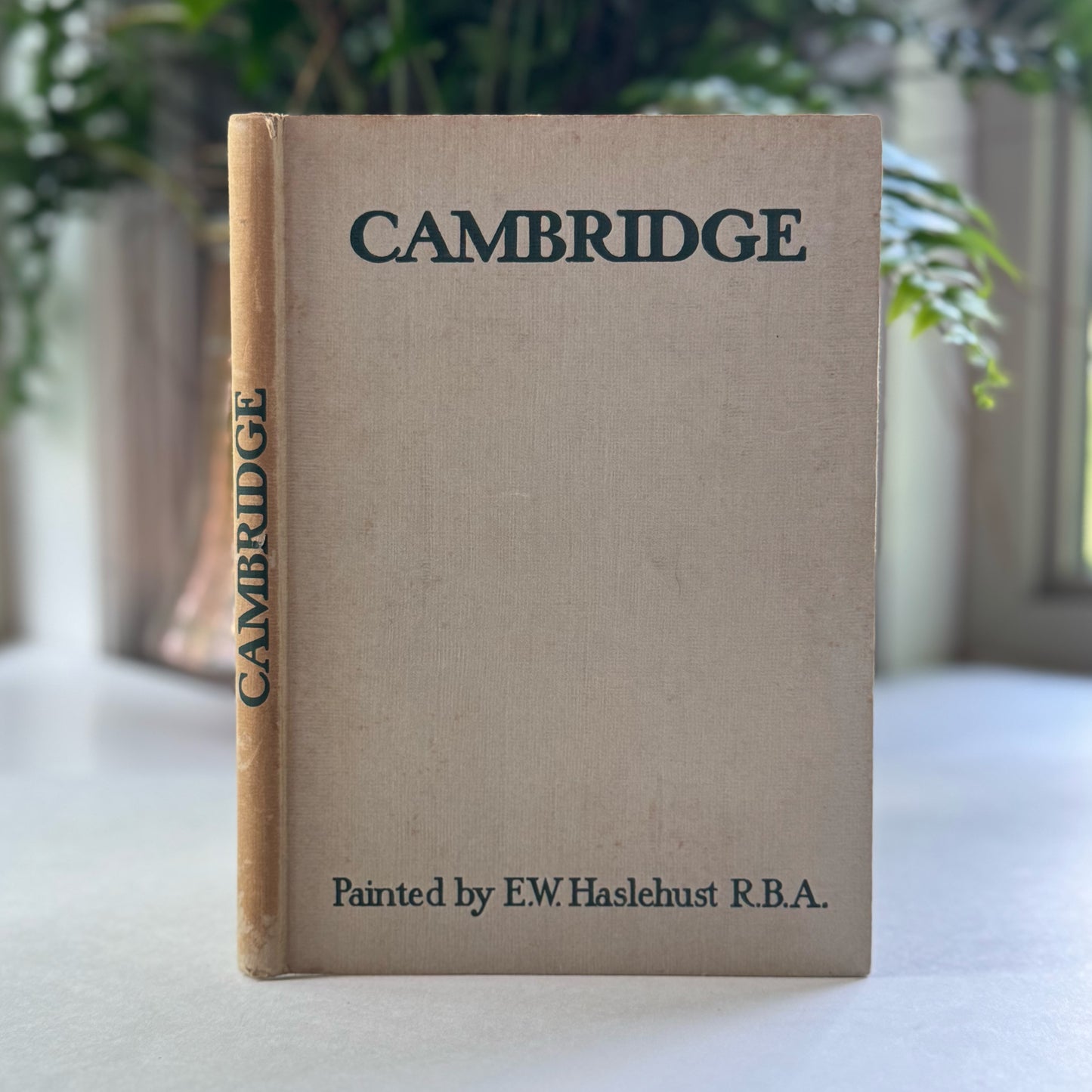 Cambridge Described by Noel Barwell Painted by E.W. Haselhust, Vintage Travel Guide