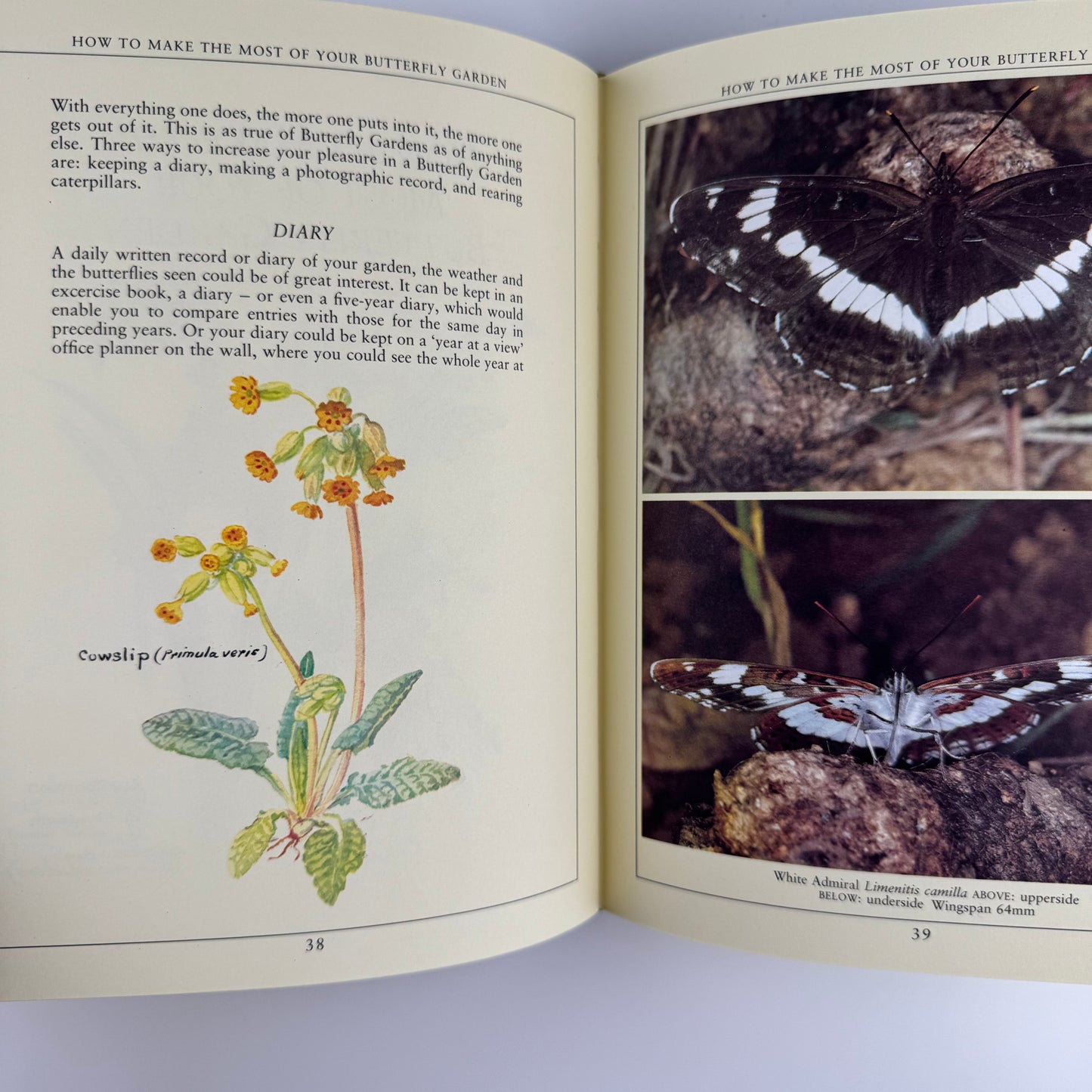 The Country Diary Book of Creating a Butterfly Garden, 1988
