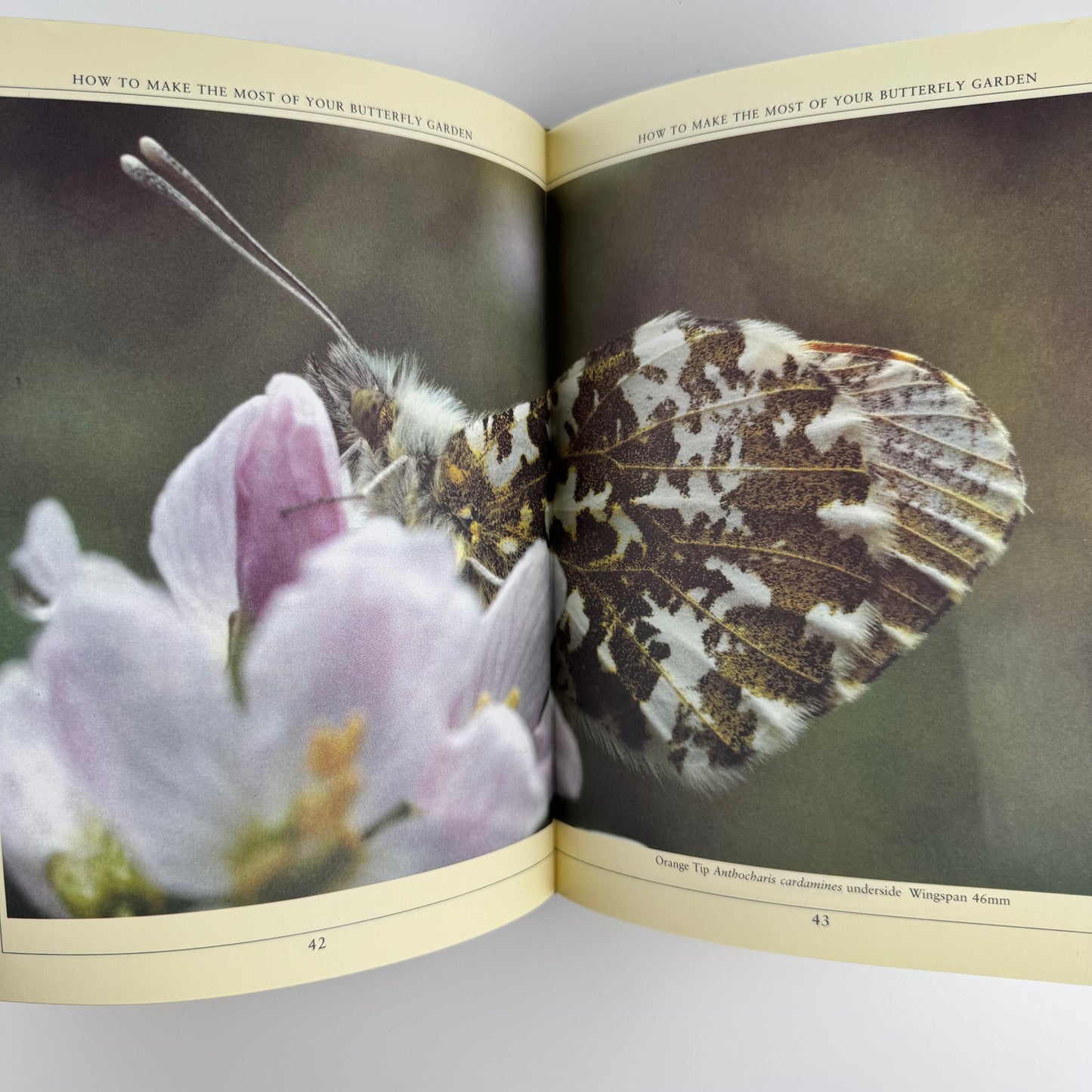 The Country Diary Book of Creating a Butterfly Garden, 1988
