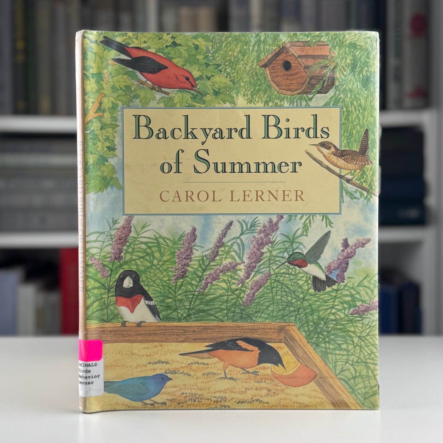 Choose One: Children's Nature Study Picture Books