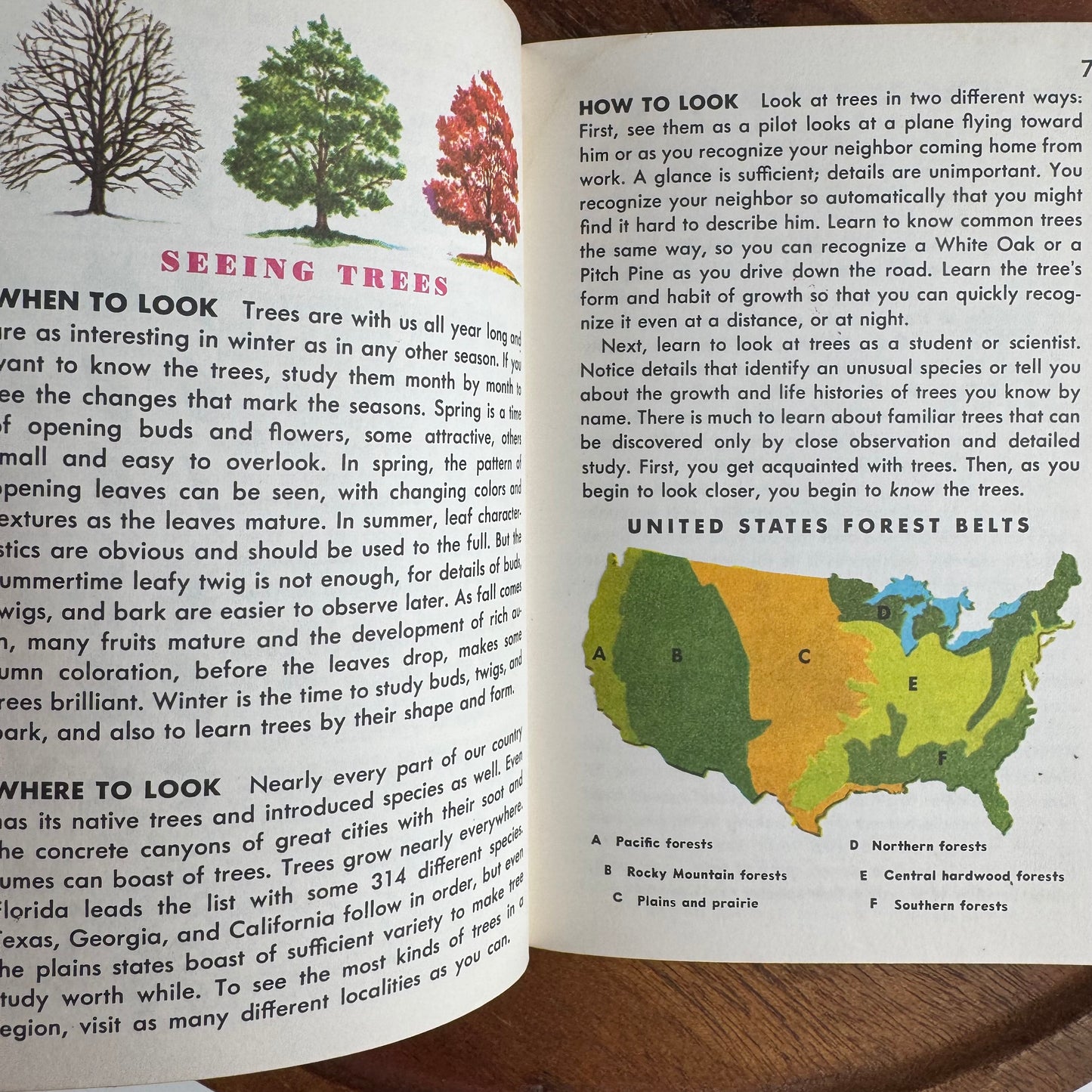 Trees - A Guide to Familiar American Trees, A Golden Nature Guide, 1956 Paperback