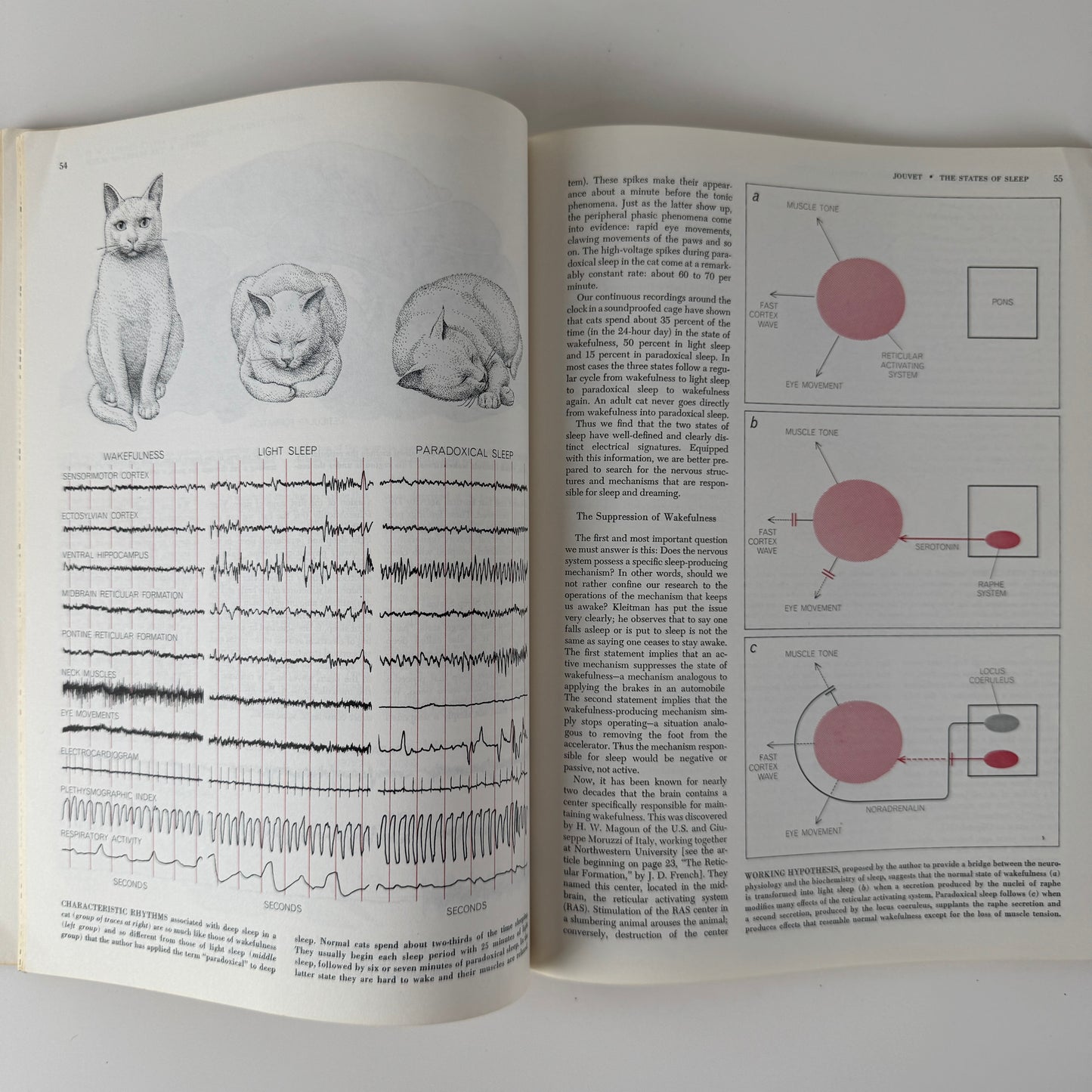 Altered States of Awareness — Scientific American Readings — 1972 Vintage Psychology & Consciousness Studies Paperback
