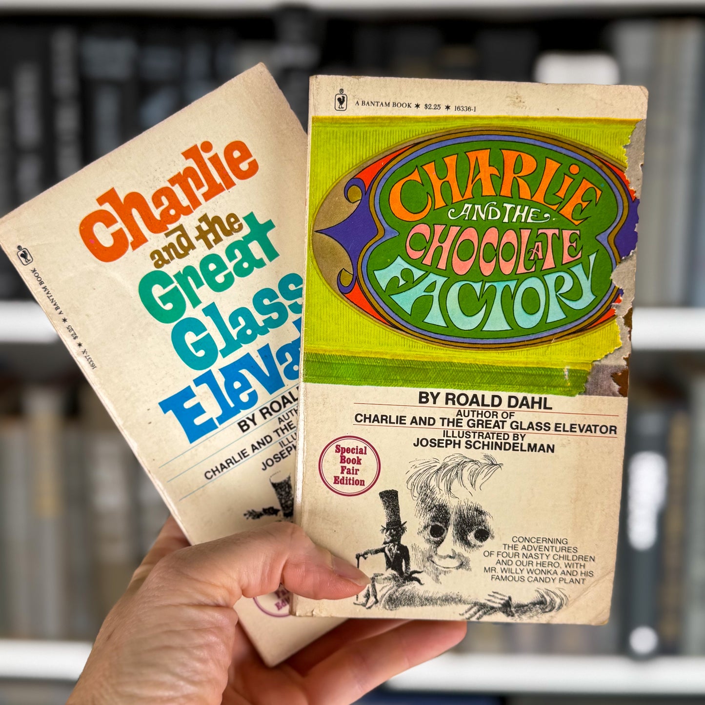 Charlie and the Chocolate Factory and Charlie and the Great Glass Elevator, 1981