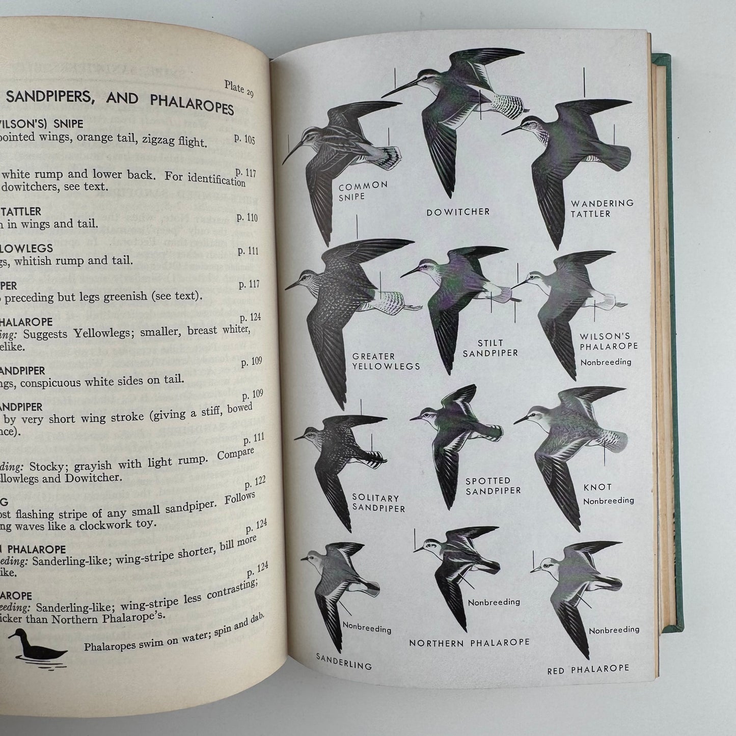 Roger Tory Peterson Set, A Field Guide to Western Birds and Field Guide to the Birds
