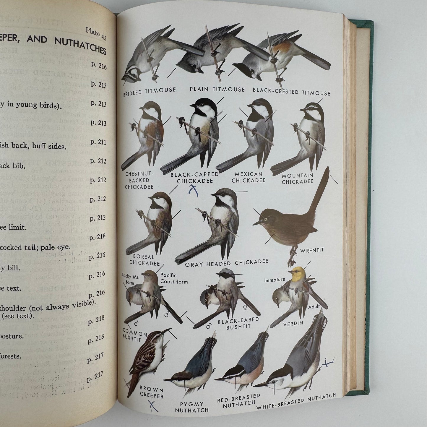 Roger Tory Peterson Set, A Field Guide to Western Birds and Field Guide to the Birds