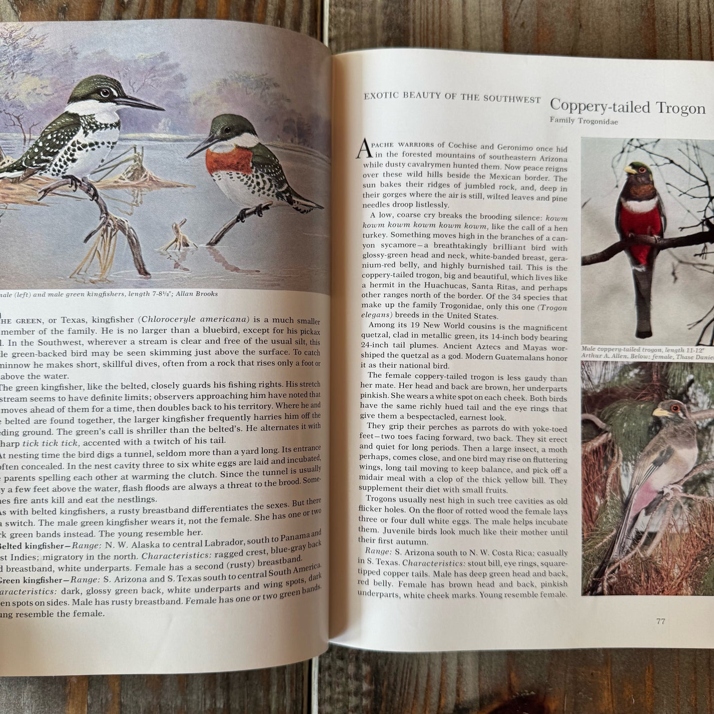 National Geographic Song and Garden Birds of North America, 1964