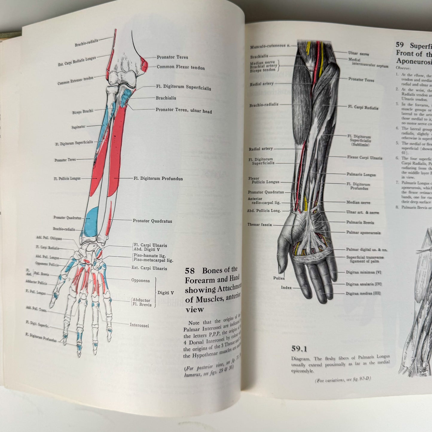 Grant's Atlas of Anatomy, 6th Edition, 1975 Illustrated Hardcover