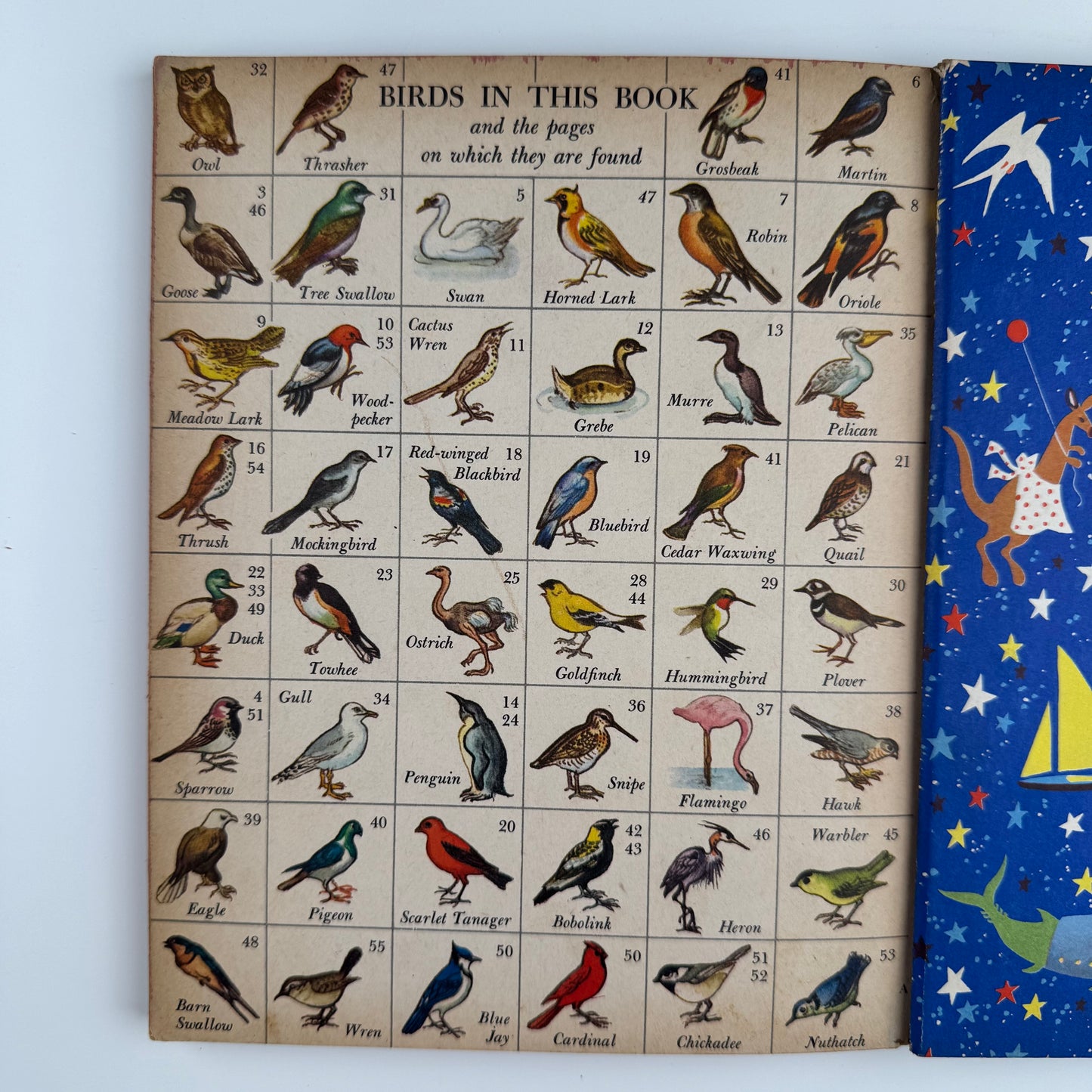 Birds, A Giant Little Golden Book: 56 Full Color Bird Illustrations, 1958 First Edition "A" Hardcover Nature Study