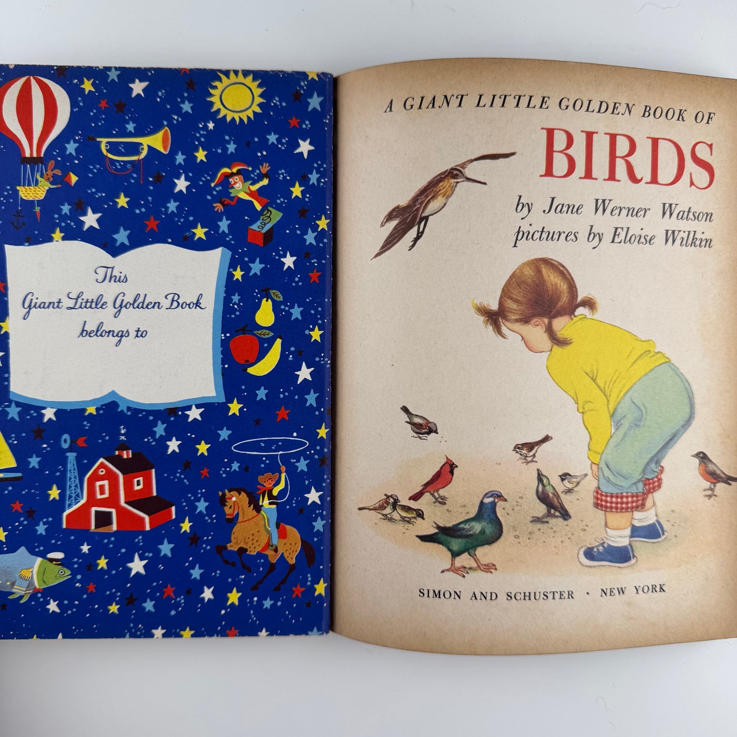 Birds, A Giant Little Golden Book: 56 Full Color Bird Illustrations, 1958 First Edition "A" Hardcover Nature Study