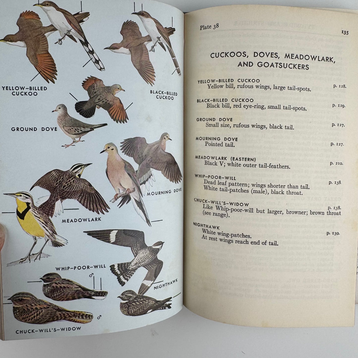 Roger Tory Peterson Set, A Field Guide to Western Birds and Field Guide to the Birds