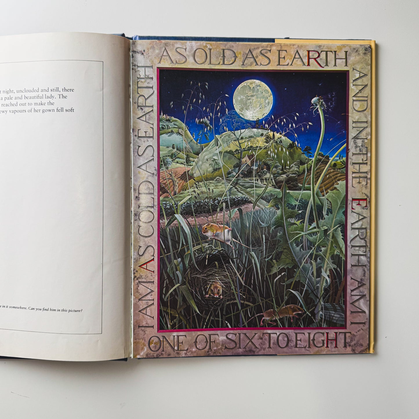 Masquerade, Kit Williams, Children's Puzzle Book, 1981