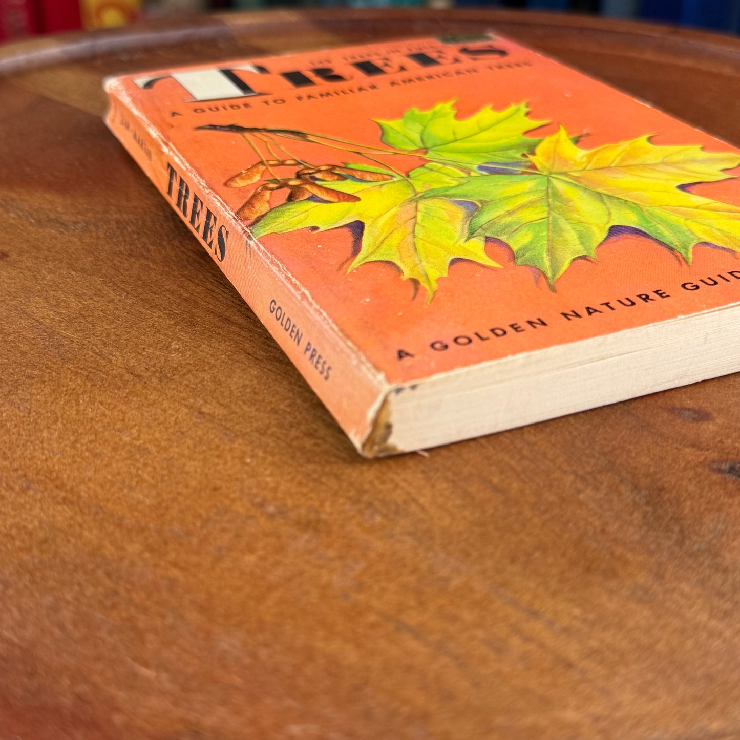 Trees - A Guide to Familiar American Trees, A Golden Nature Guide, 1956 Paperback