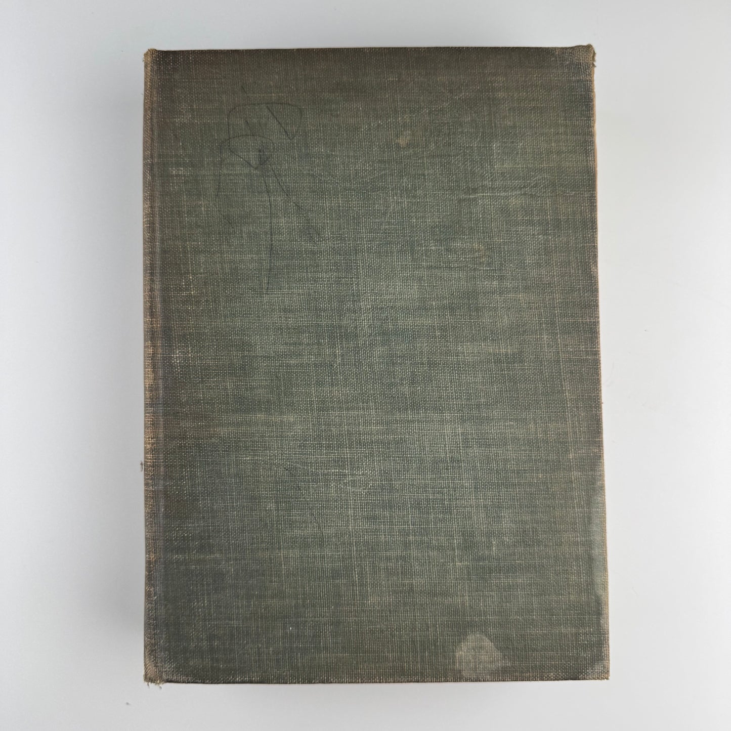 Birds of America, Oversized Illustrated 1936 Hardcover, Brasher, Fuertes