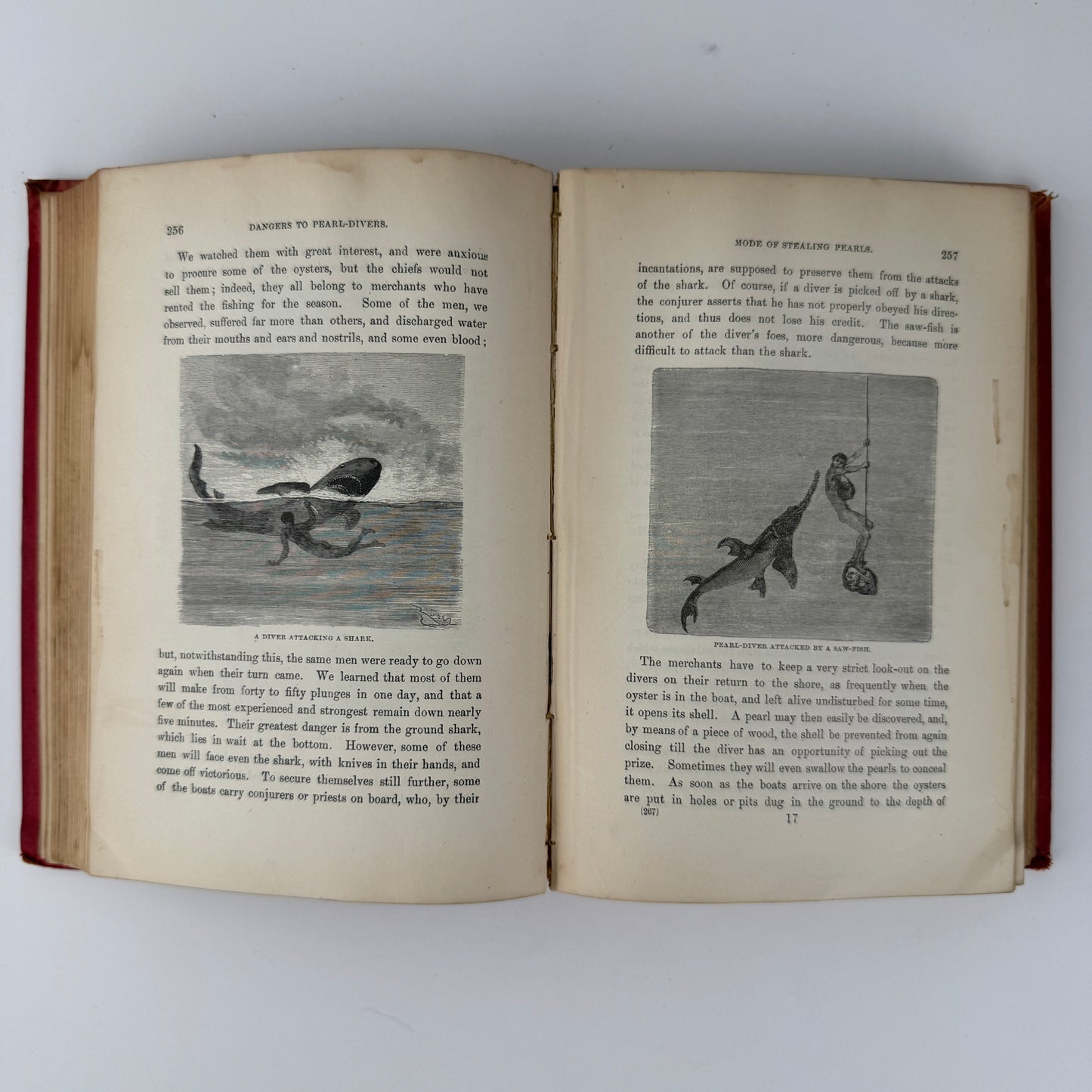 In the Eastern Seas, The Kingston Library, 1892 Boys' Young Adult Adventure Novel Hardcover