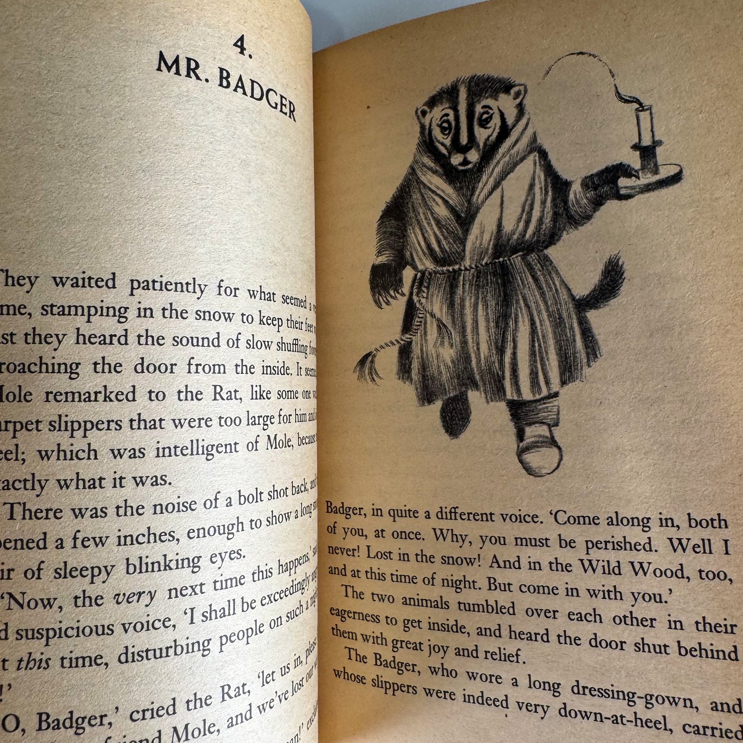 The Wind in the Willows, Kenneth Grahame, A Dell Yearling Book, 1984 Paperback
