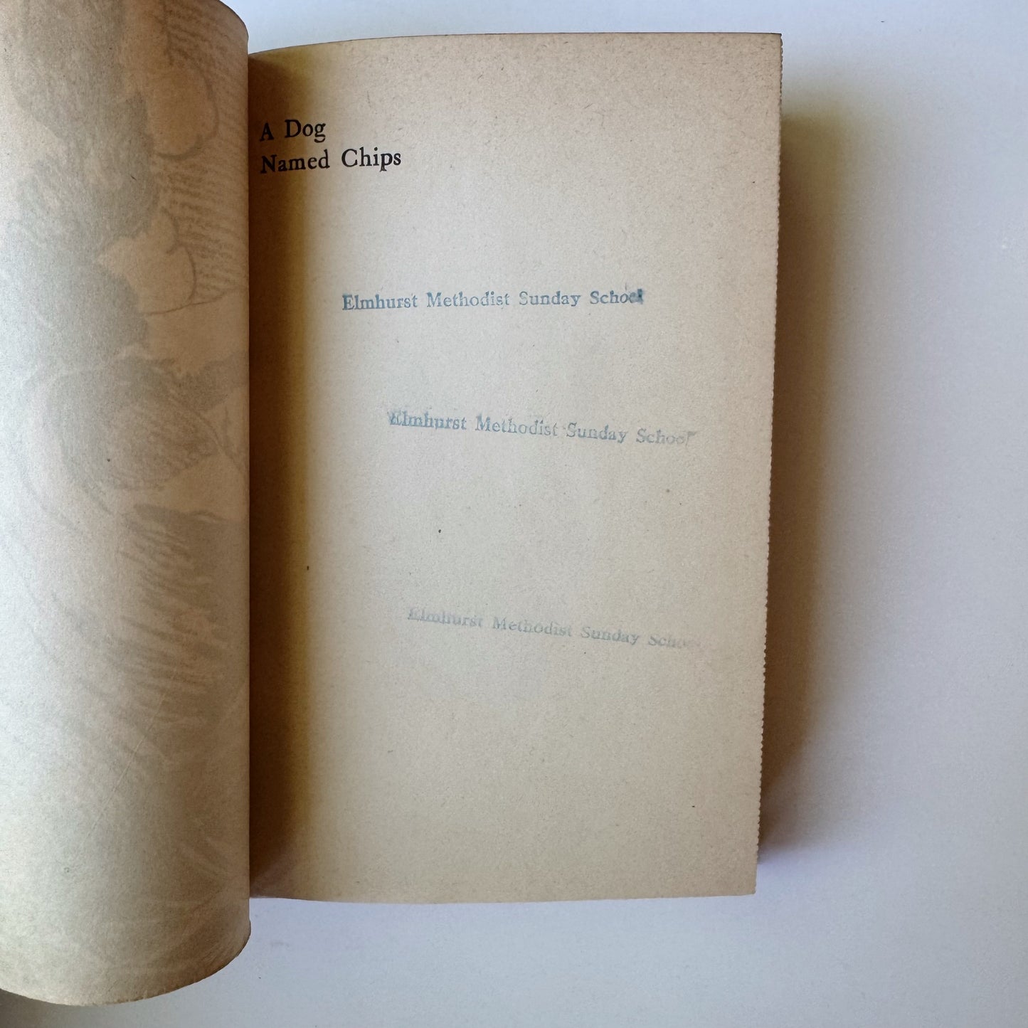 A Dog Named Chips, Albert Payson Terhune 1931 Hardcover
