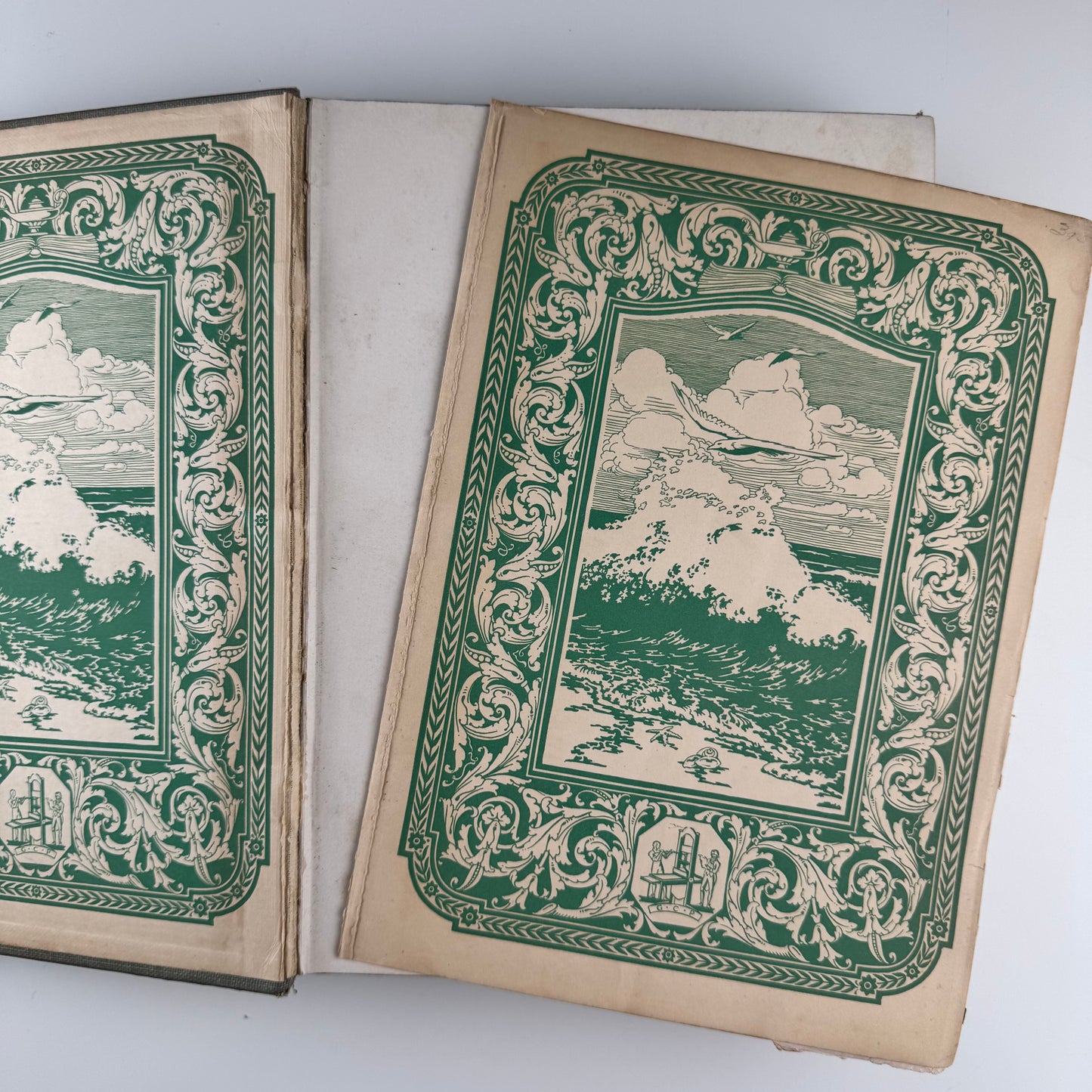 Birds of America, Oversized Illustrated 1936 Hardcover, Brasher, Fuertes