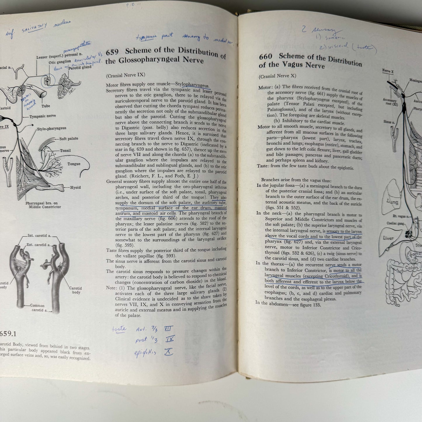 Grant's Atlas of Anatomy, 6th Edition, 1975 Illustrated Hardcover