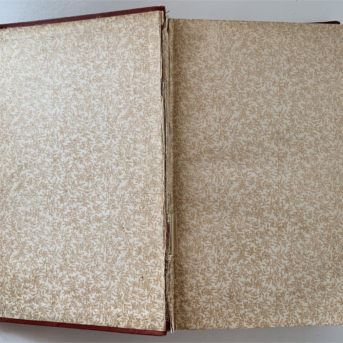 Mrs Rorer's Philadelphia Cook Book: A Manual of Home Economics, 1886