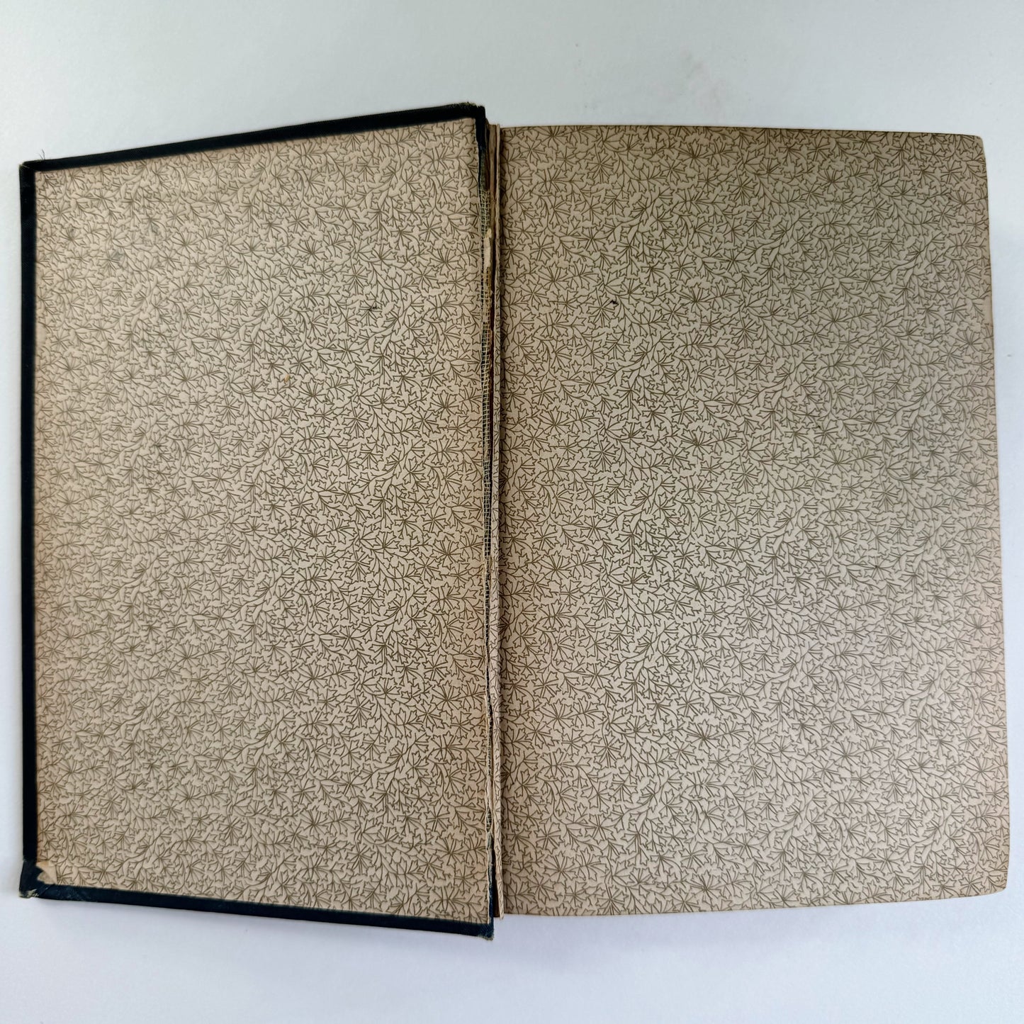 Plutarch's Lives, Langhorne, WM. L. Allison Company, 1889