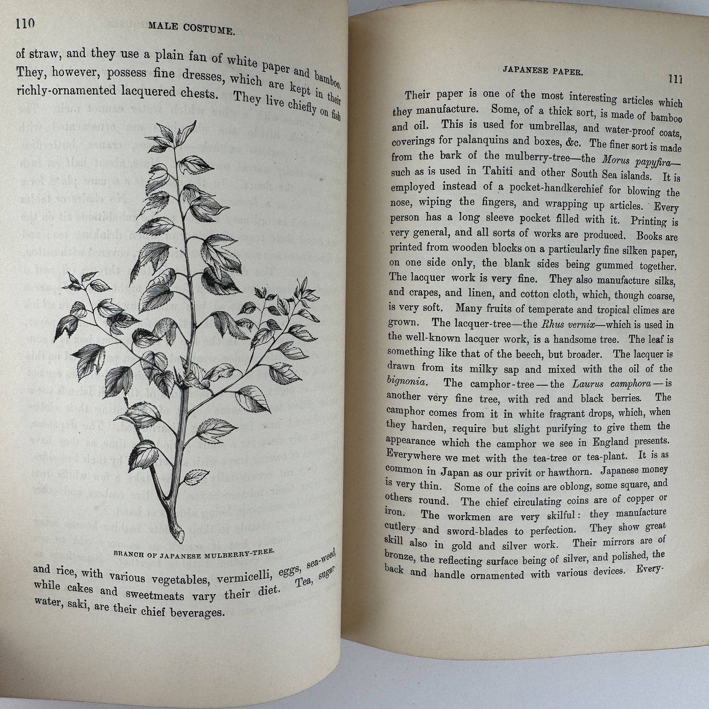 In the Eastern Seas, The Kingston Library, 1892 Boys' Young Adult Adventure Novel Hardcover