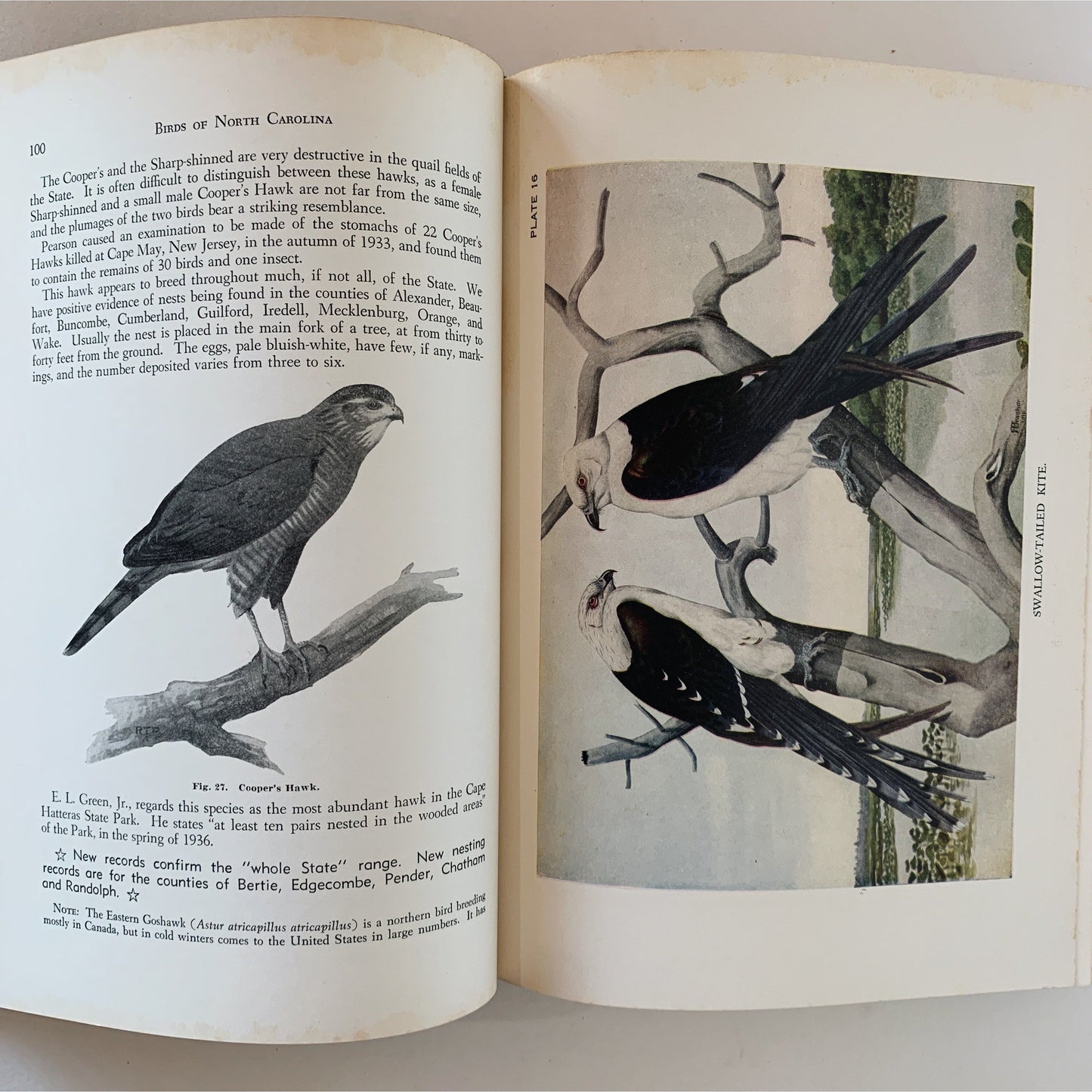 Birds of North Carolina, Hardcover, 1959, Peterson, Rex Brasher