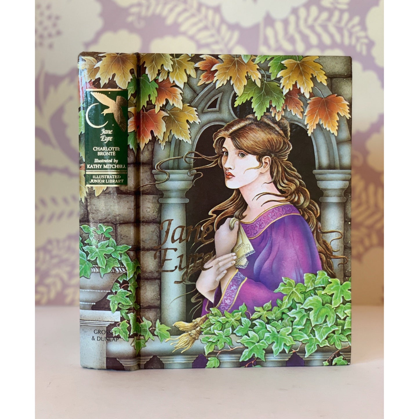 Jane Eyre, Illustrated Junior Library, 1995, Hardcover, Charlotte Bronte