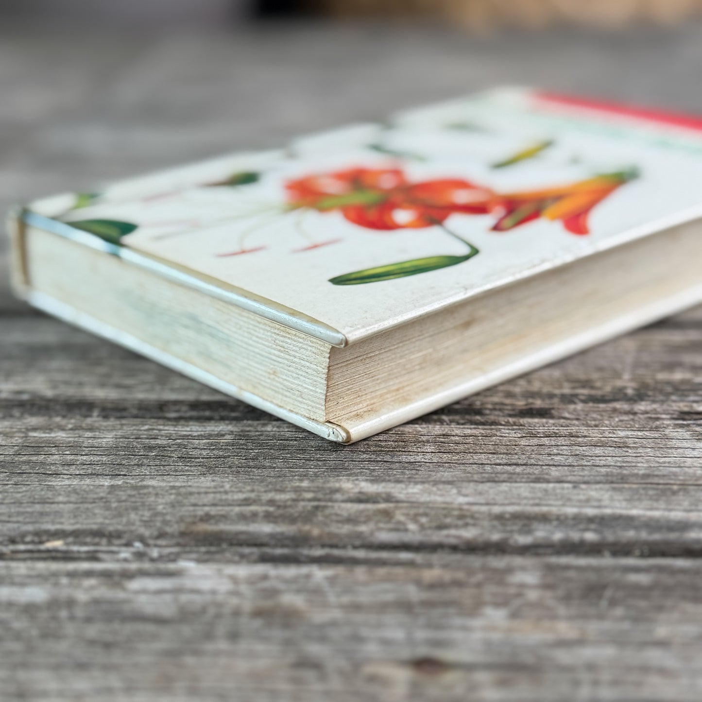 A Concise Guide in Color: Flowering Bulbs, Eva Petrova, 1989