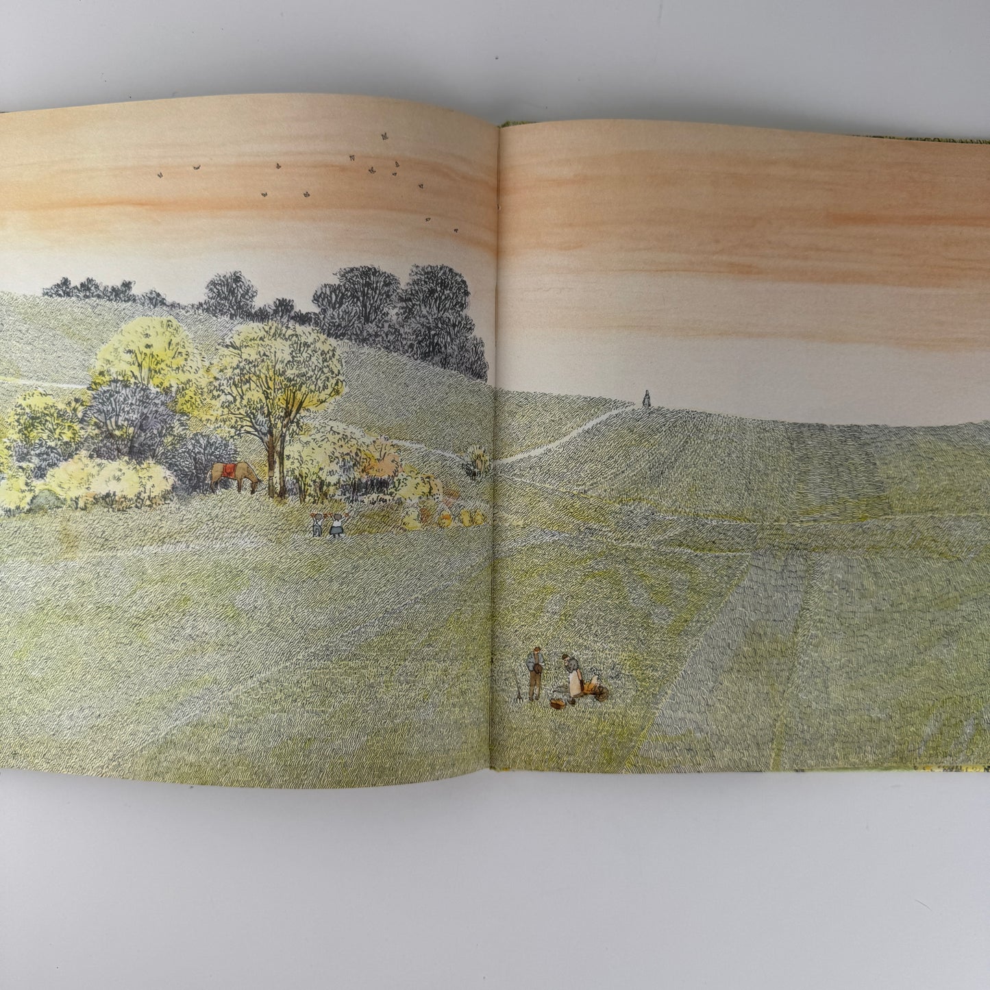 Anno's Journey, First US Edition, 1978 Hardcover Children's Classic