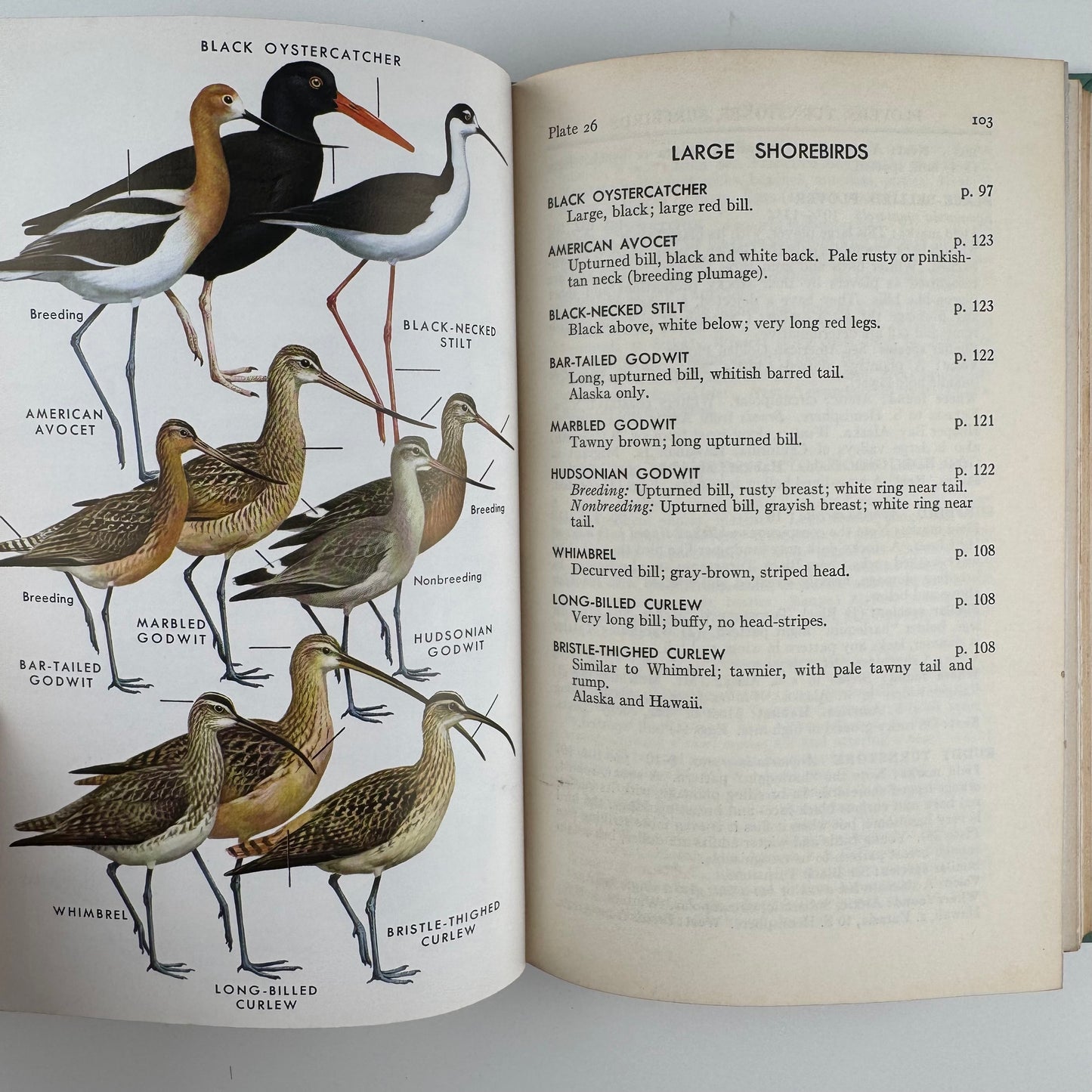 Roger Tory Peterson Set, A Field Guide to Western Birds and Field Guide to the Birds