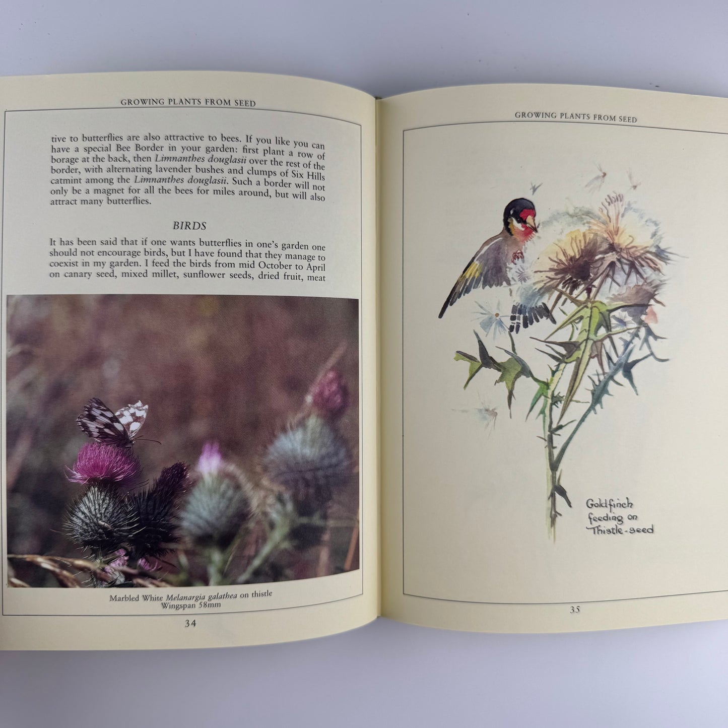 The Country Diary Book of Creating a Butterfly Garden, 1988