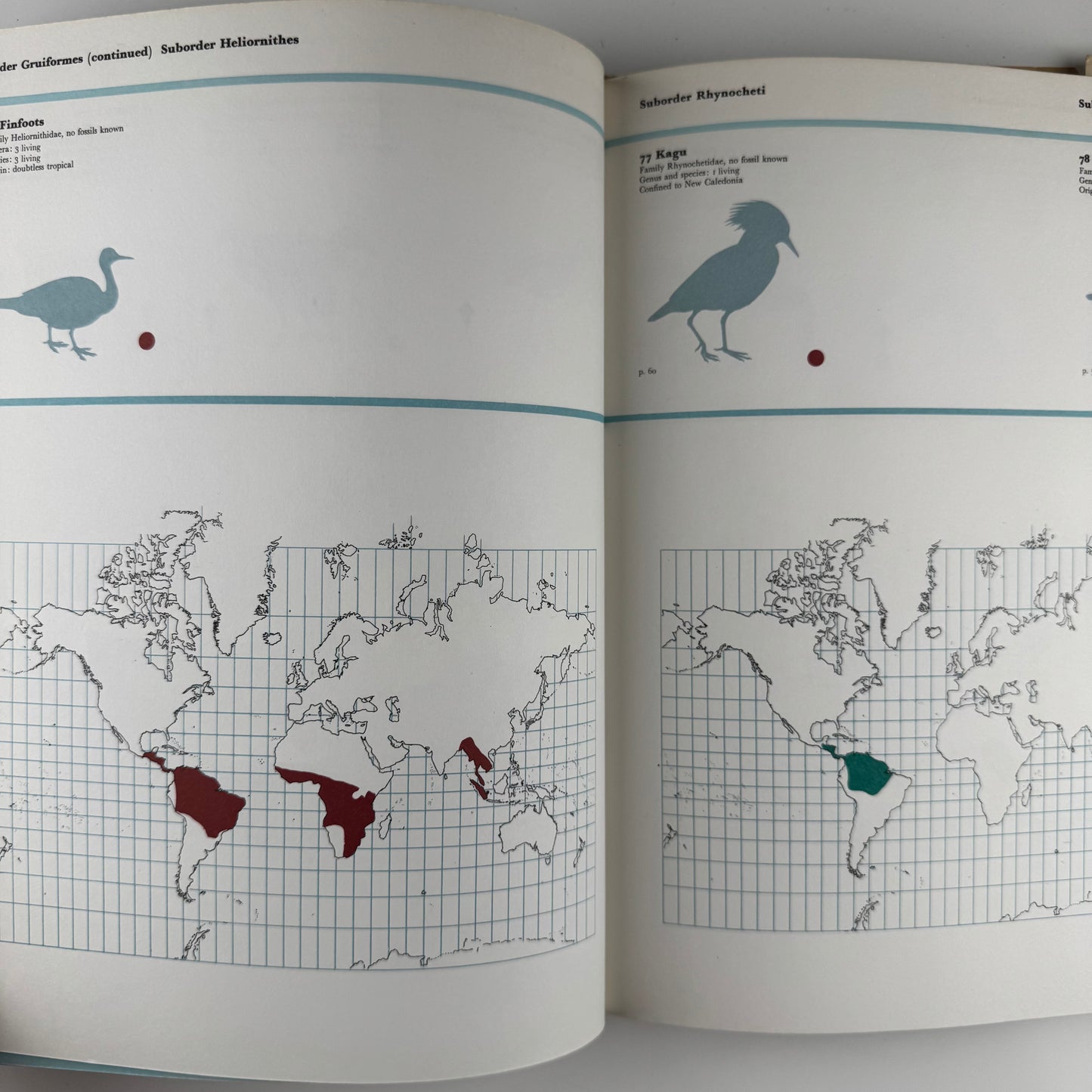 The World of Birds, James Fisher and Roger Tory Peterson, 1964 Illustrated Oversized Hardcover