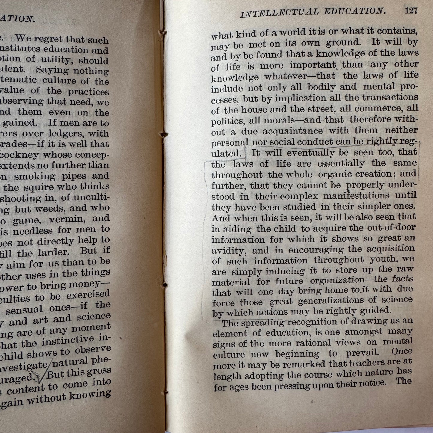 Spencer on Education, 1885 Ornate Hardcover