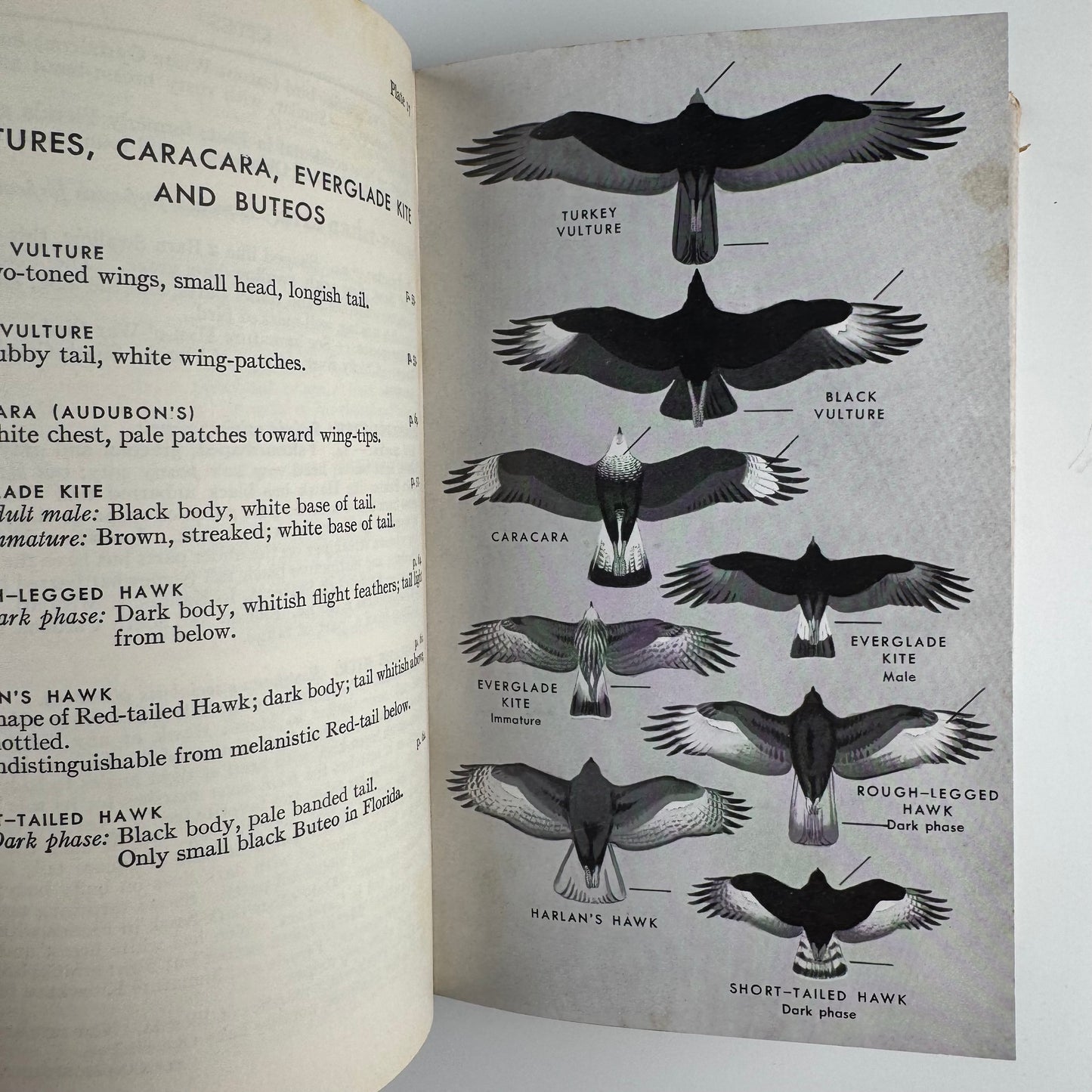 Roger Tory Peterson Set, A Field Guide to Western Birds and Field Guide to the Birds