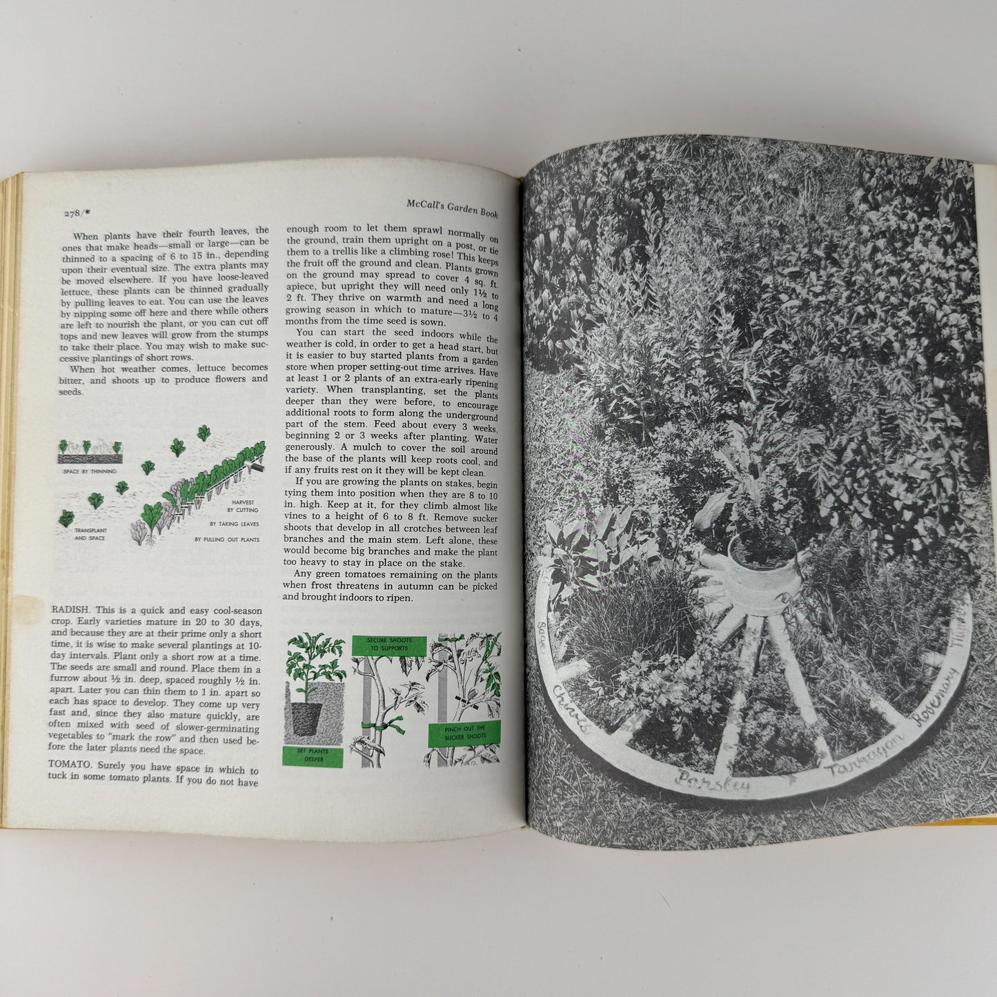 McCall's Garden Book, 1968, Vintage Hardcover Illustrated Gardening Guide