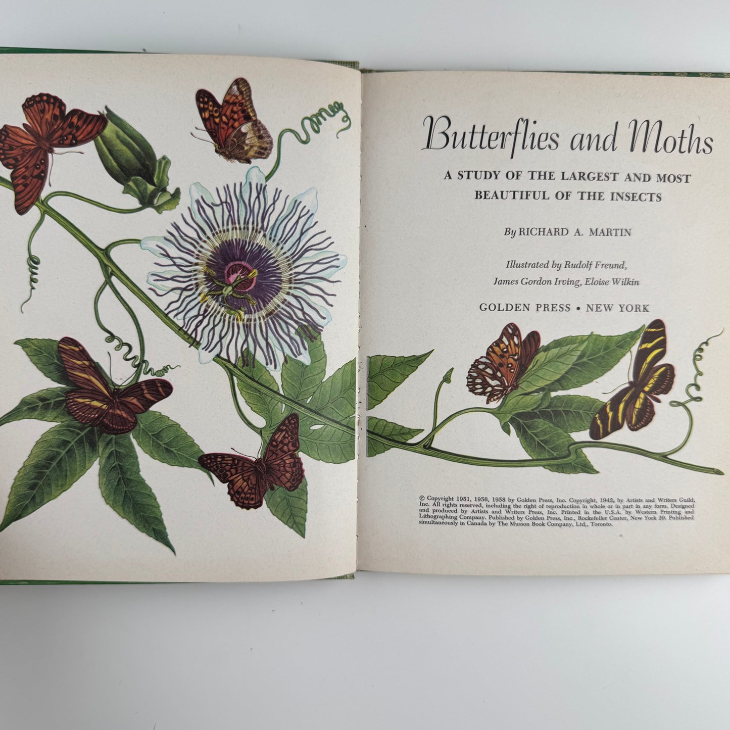 Butterflies and Moths, A Deluxe Edition, Golden Library of Knowledge, 1958 Nature Study Hardcover