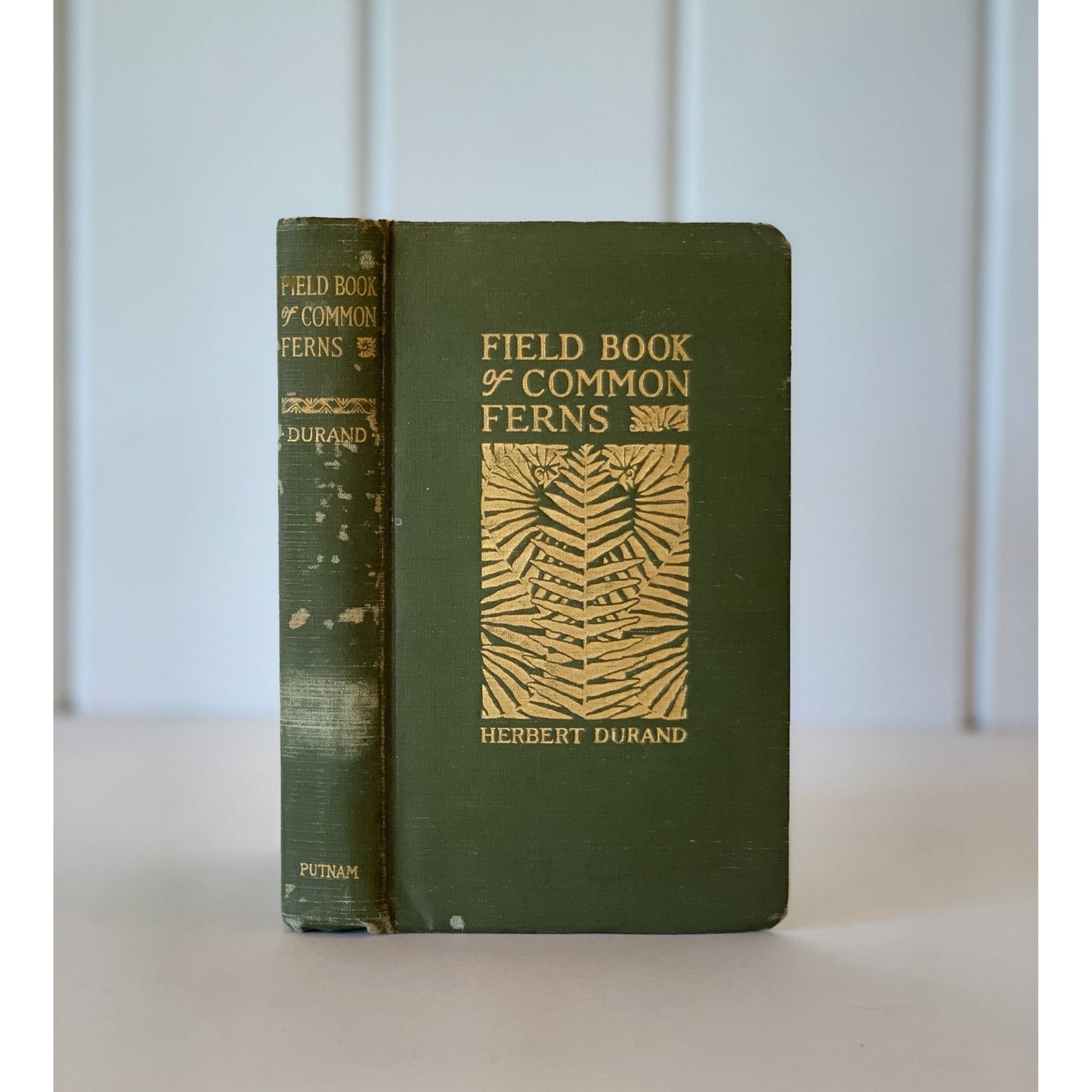 Field Book of Common Ferns, Eastern America, 1928