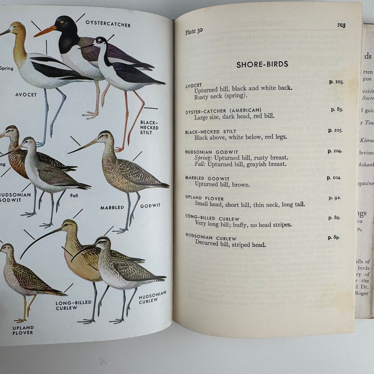 Roger Tory Peterson Set, A Field Guide to Western Birds and Field Guide to the Birds
