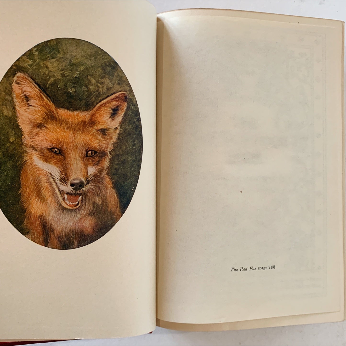 The Children's Hour Book 7: Out of Door Book, 1907