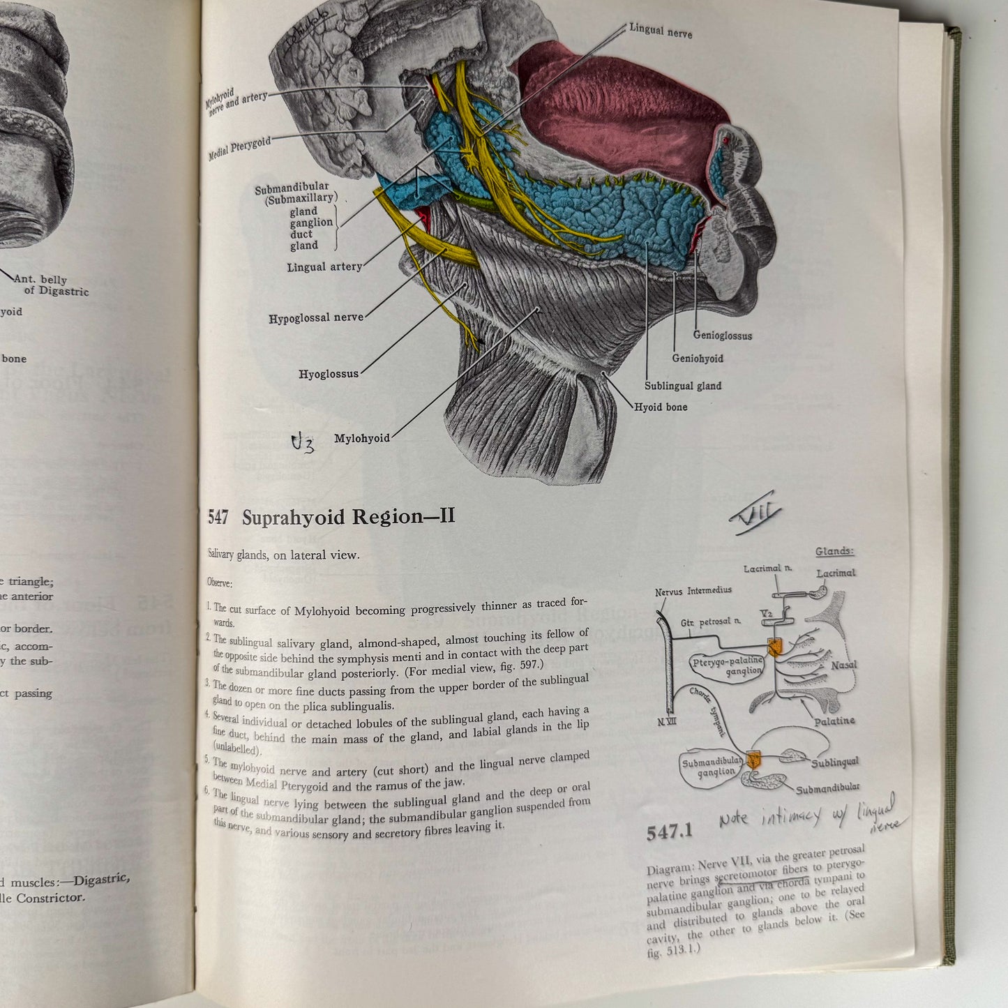 Grant's Atlas of Anatomy, 6th Edition, 1975 Illustrated Hardcover