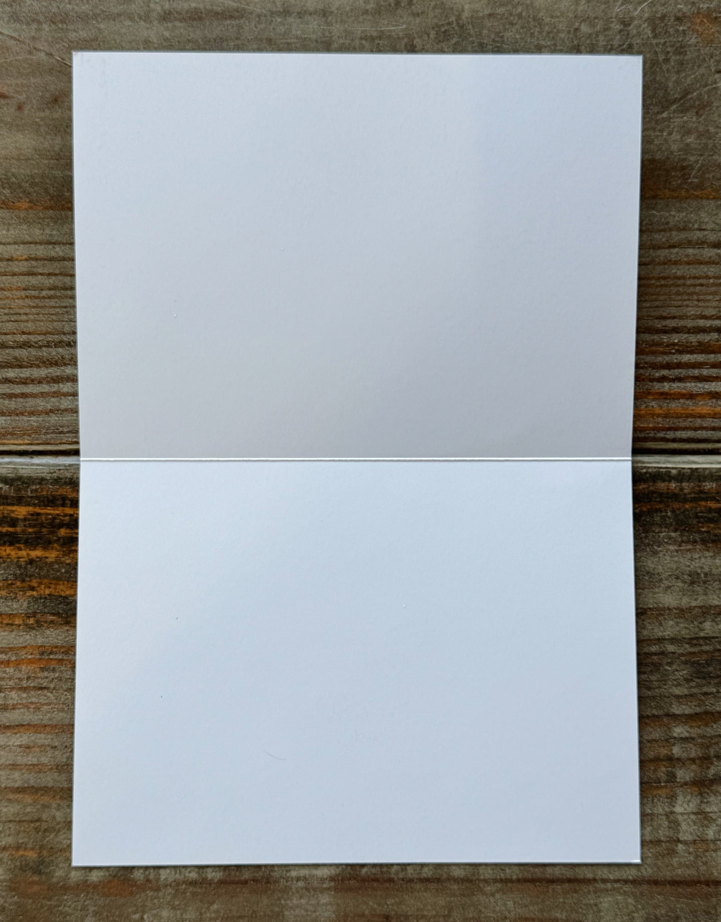 Pretty Old Books Folded Note Cards, Large 5 x 7
