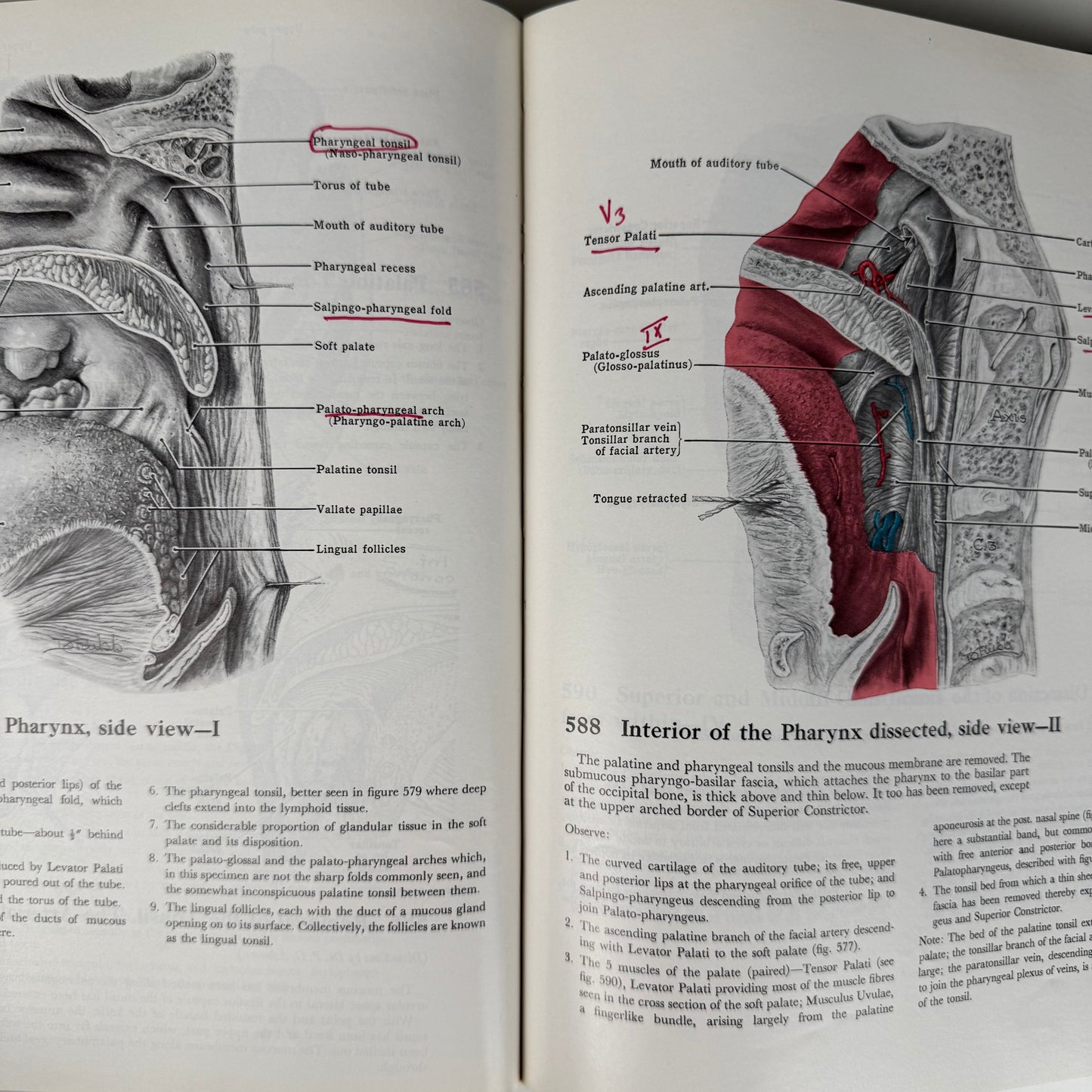 Grant's Atlas of Anatomy, 6th Edition, 1975 Illustrated Hardcover