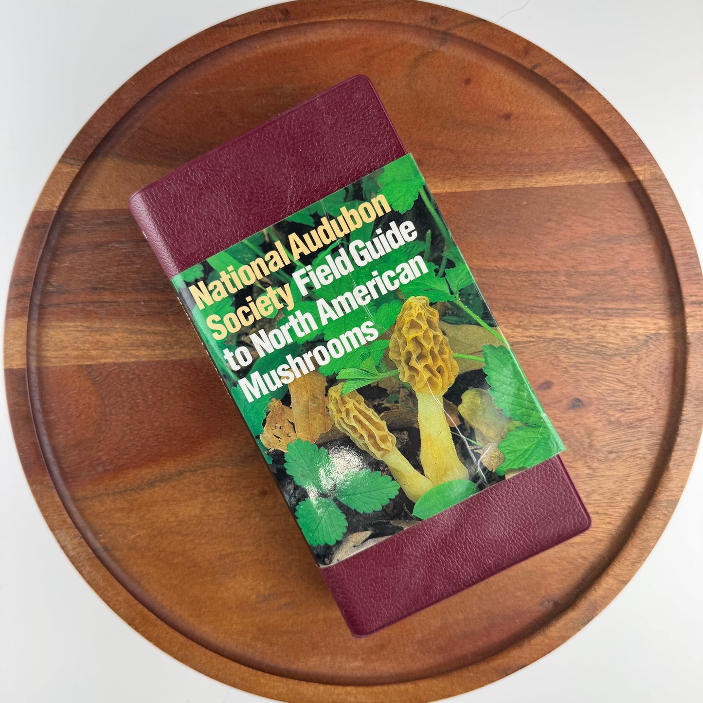 National Audubon Society Field Guide to North American Mushrooms, 1998