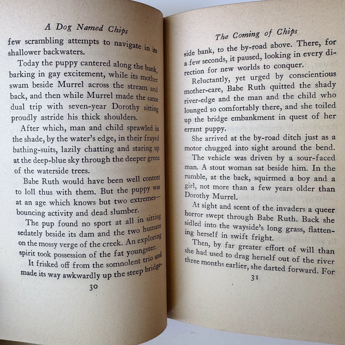 A Dog Named Chips, Albert Payson Terhune 1931 Hardcover