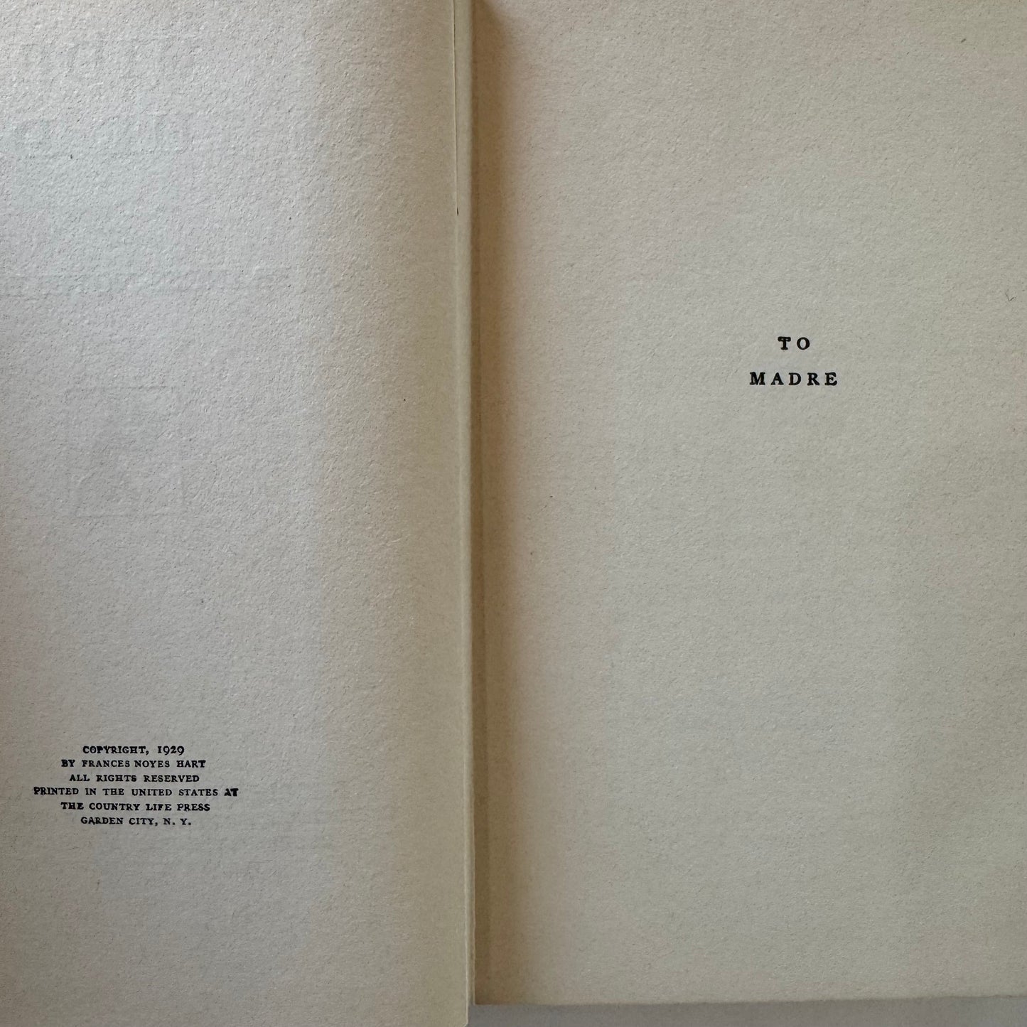 Hide in the Dark, The Crime Club, 1929 Hardcover, Frances Noyes Hart