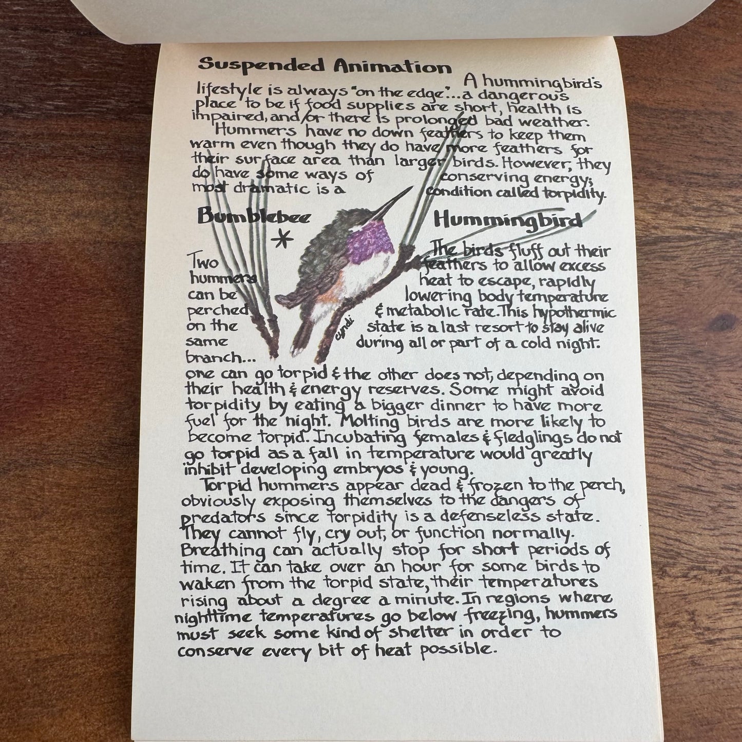 Hummers: Hummingbirds of North America, Millie & Cyndi's Pocket Nature Guides, `987