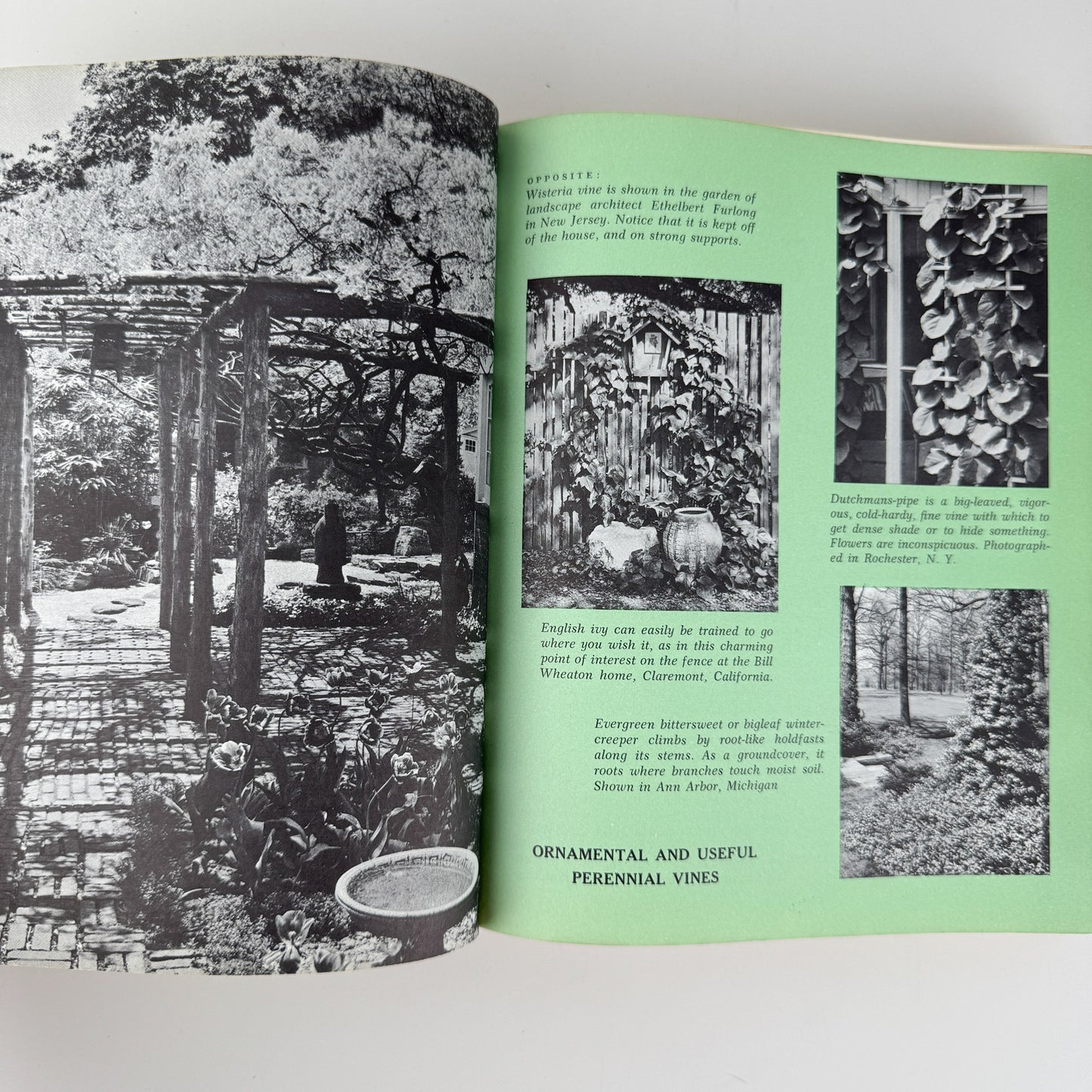 McCall's Garden Book, 1968, Vintage Hardcover Illustrated Gardening Guide