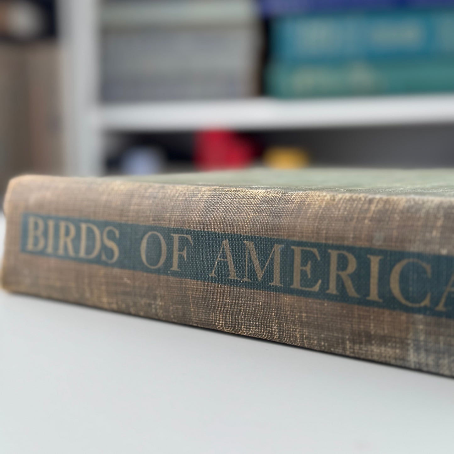 Birds of America, Oversized Illustrated 1936 Hardcover, Brasher, Fuertes