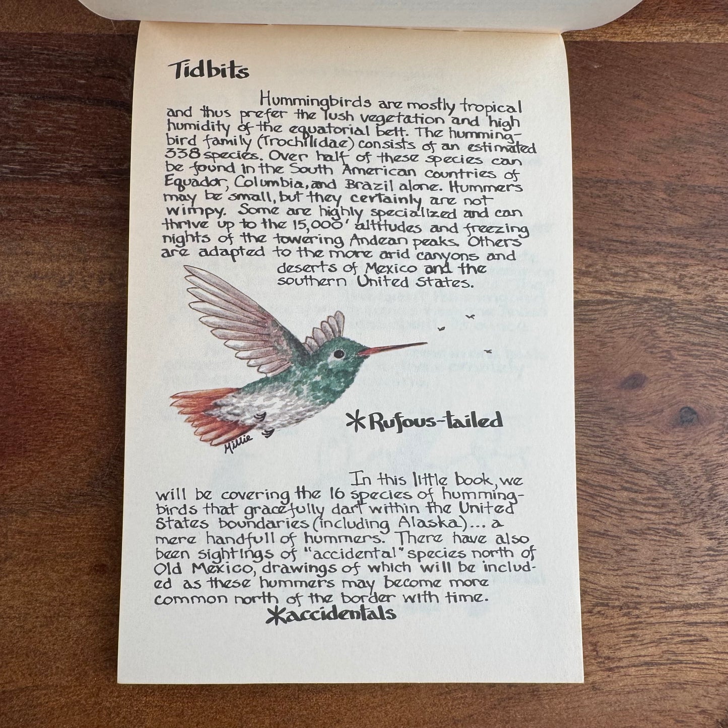 Hummers: Hummingbirds of North America, Millie & Cyndi's Pocket Nature Guides, `987